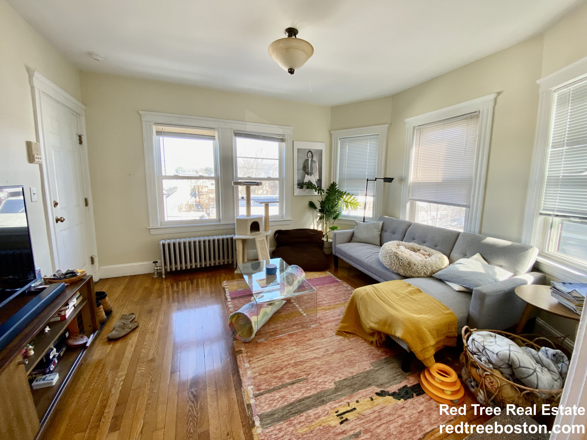 1 bed, 1 bath apartment for rent at 55 Brookley Rd Unit 3L, Jamaica Plain — photo 1 of 13
