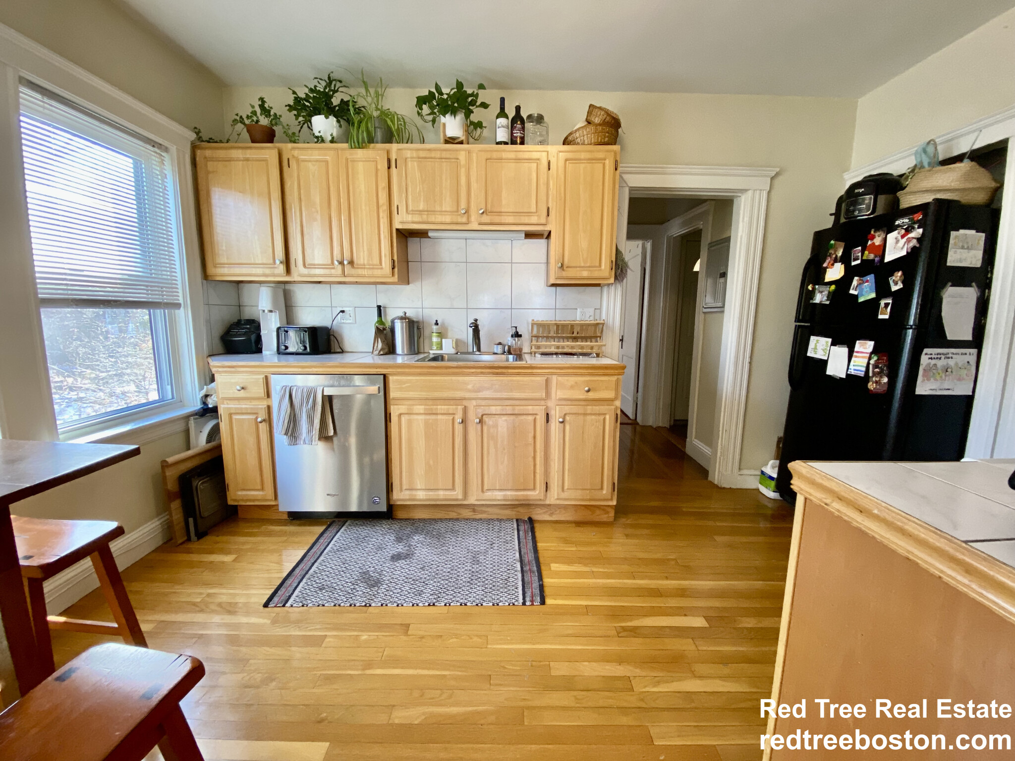 1 bed, 1 bath apartment for rent at 55 Brookley Rd Unit 3L, Jamaica Plain — photo 2 of 13