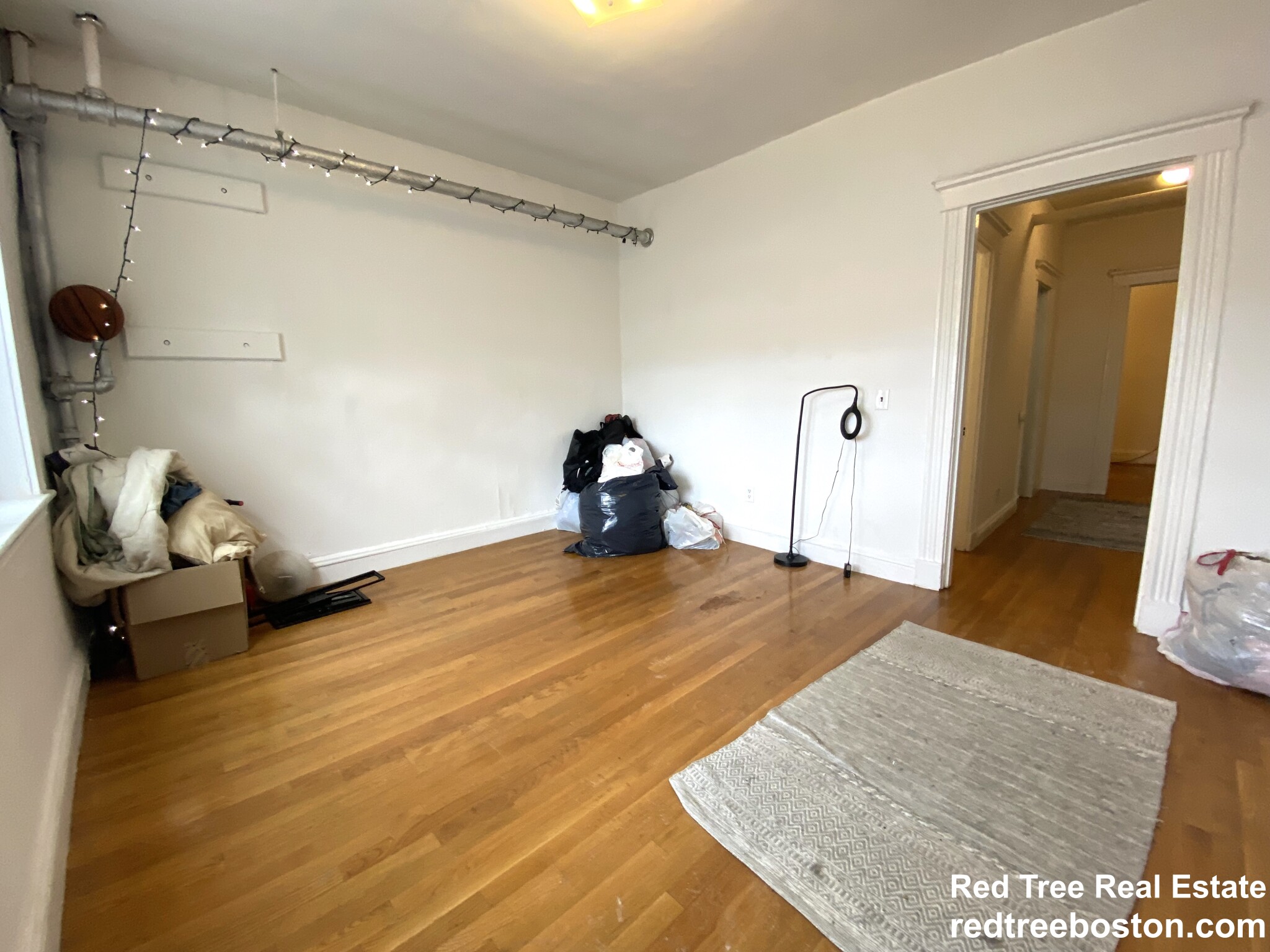 1 bed, 1 bath apartment for rent at 119 Brainerd Rd Unit 3, Allston — photo 2 of 8