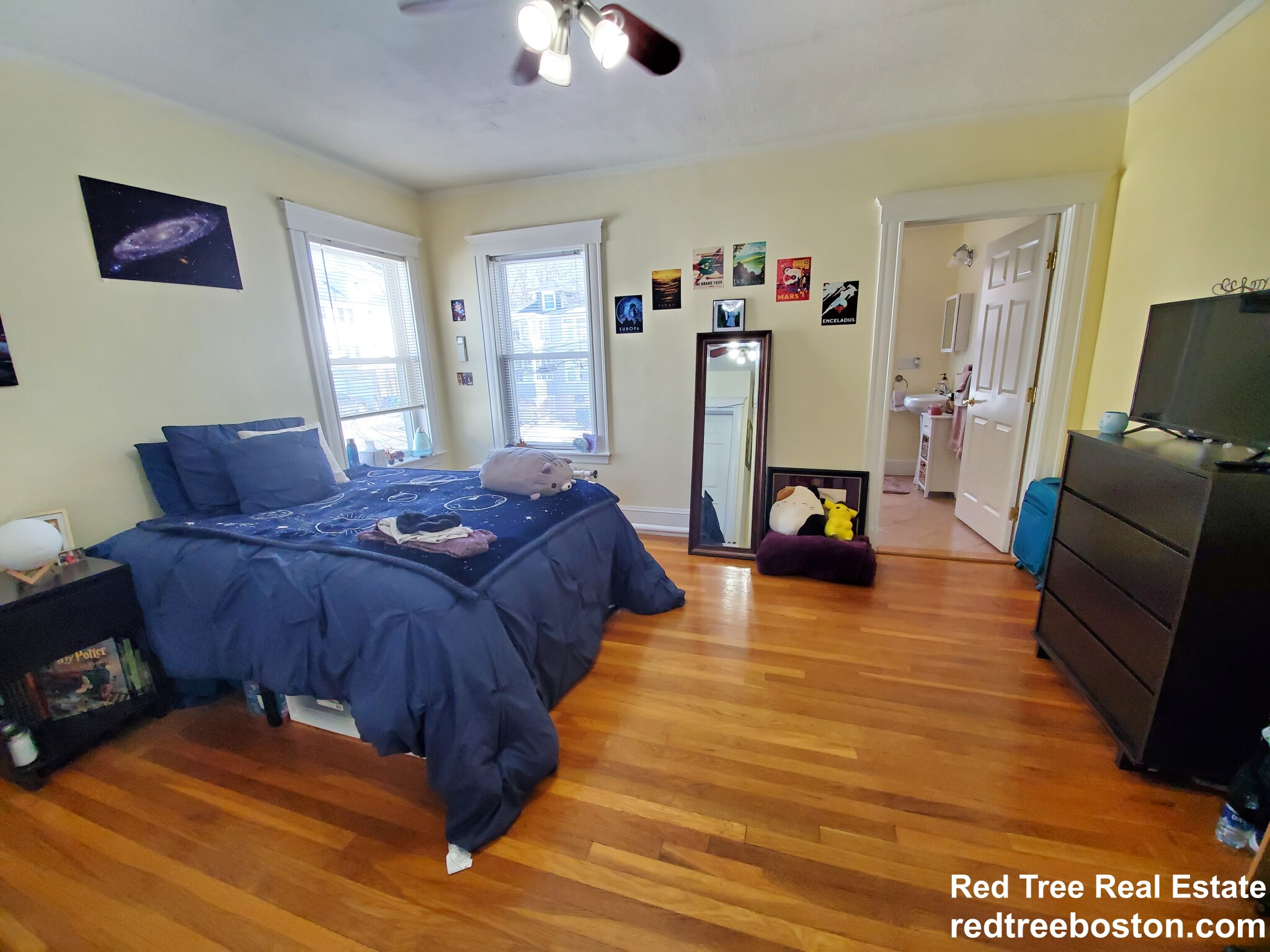 15 Westbourne Rd, Newton