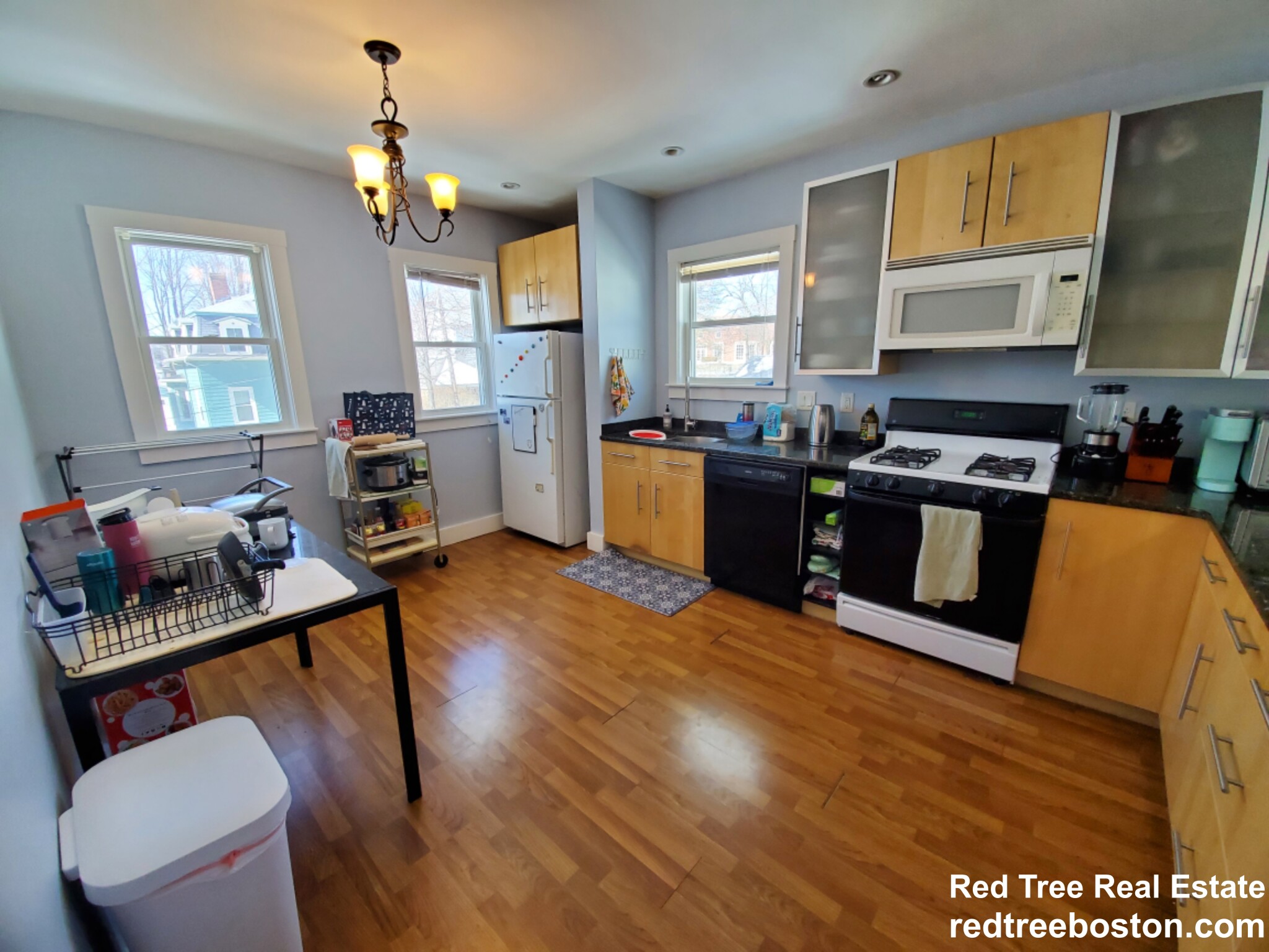 15 Westbourne Rd, Newton