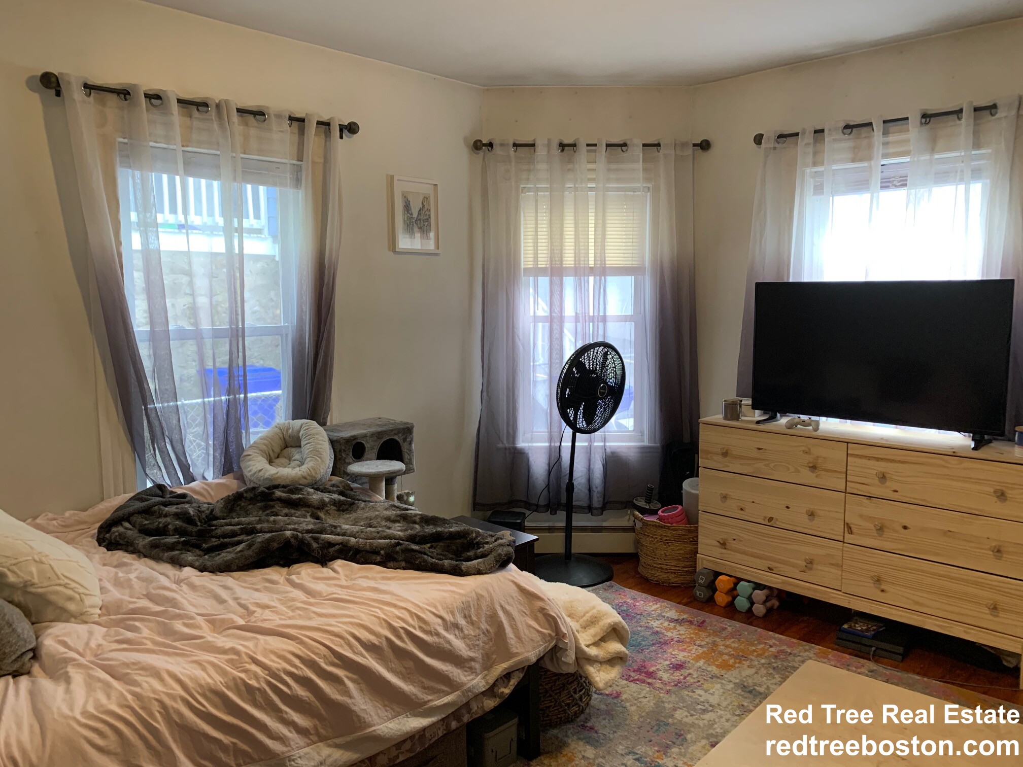 7 Timon Ave, Brookline