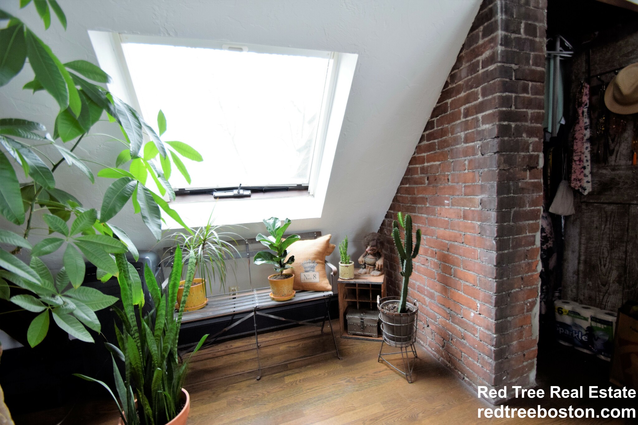 444 Western Ave, Lower Allston