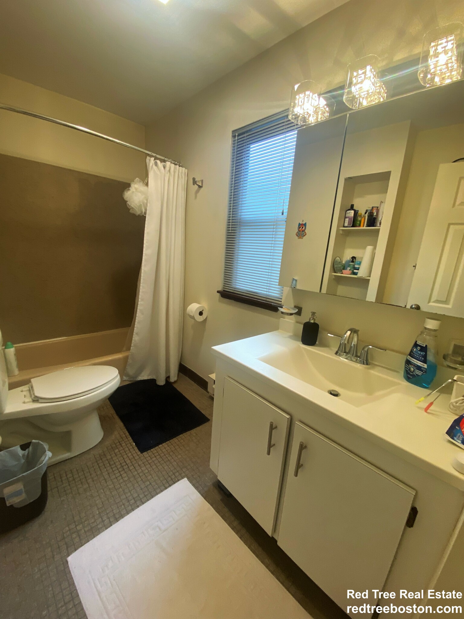 6 Cypress Rd, Brighton