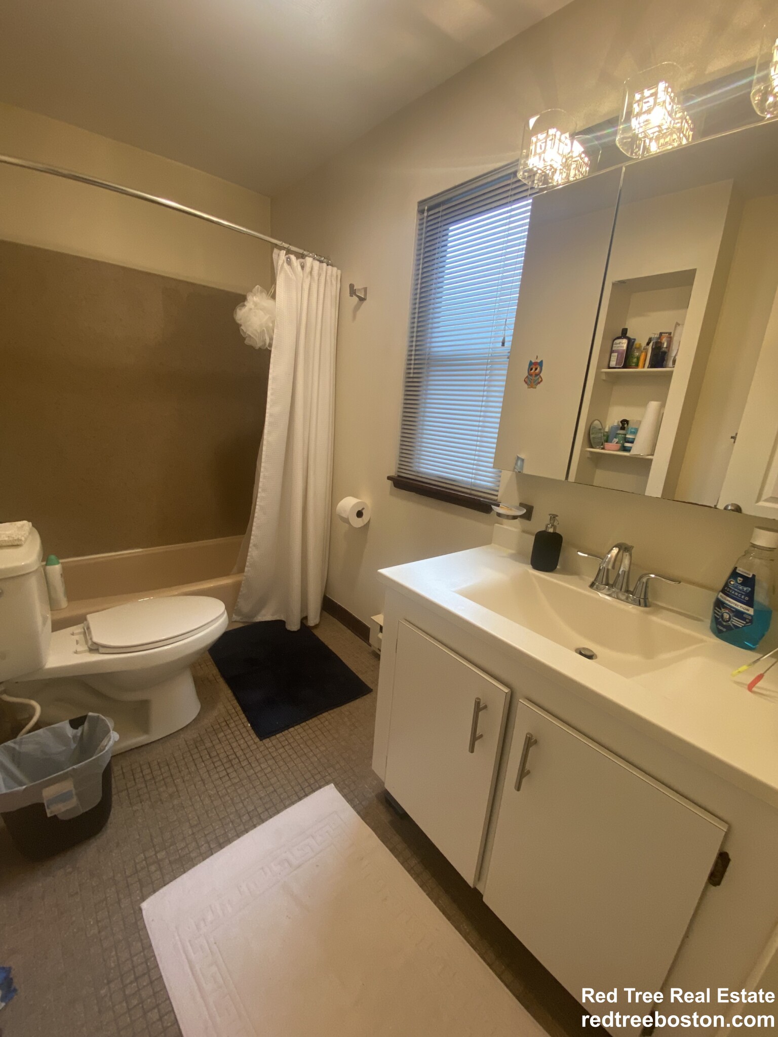 6 Cypress Rd, Brighton