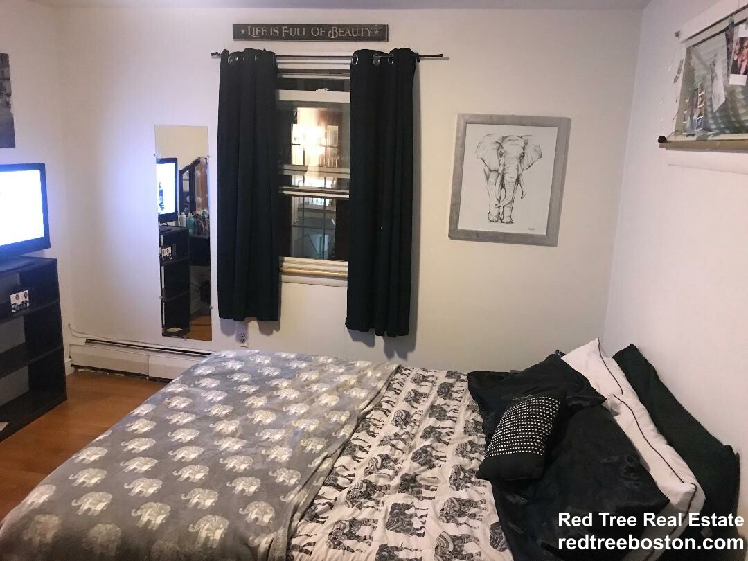 1 bed, 1 bath apartment for rent at 8 Commonwealth Ct Unit 13, Brighton — photo 3 of 5