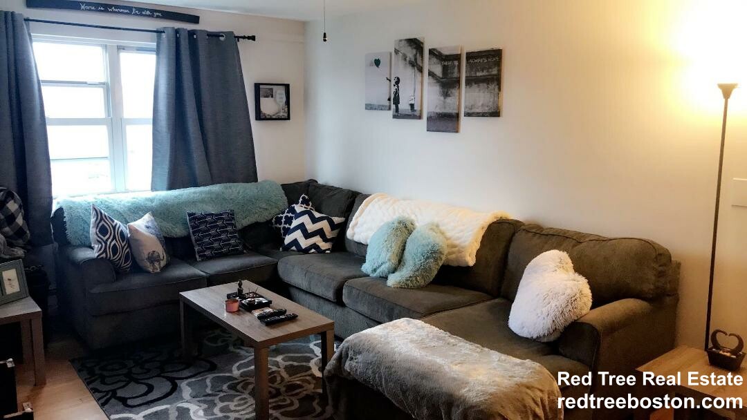 1 bed, 1 bath apartment for rent at 8 Commonwealth Ct Unit 13, Brighton — photo 2 of 5