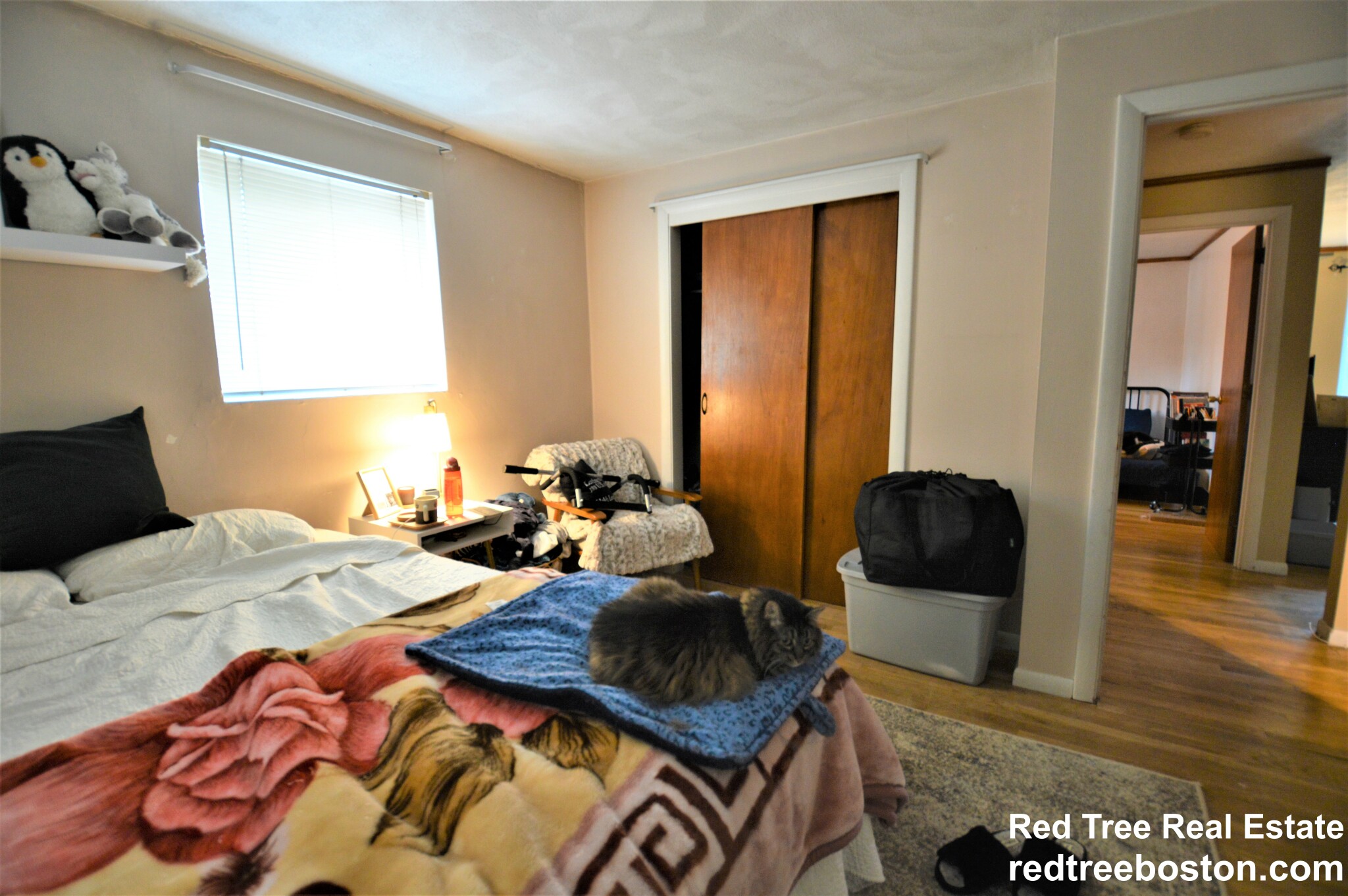 48 Bryon Rd, Chestnut Hill