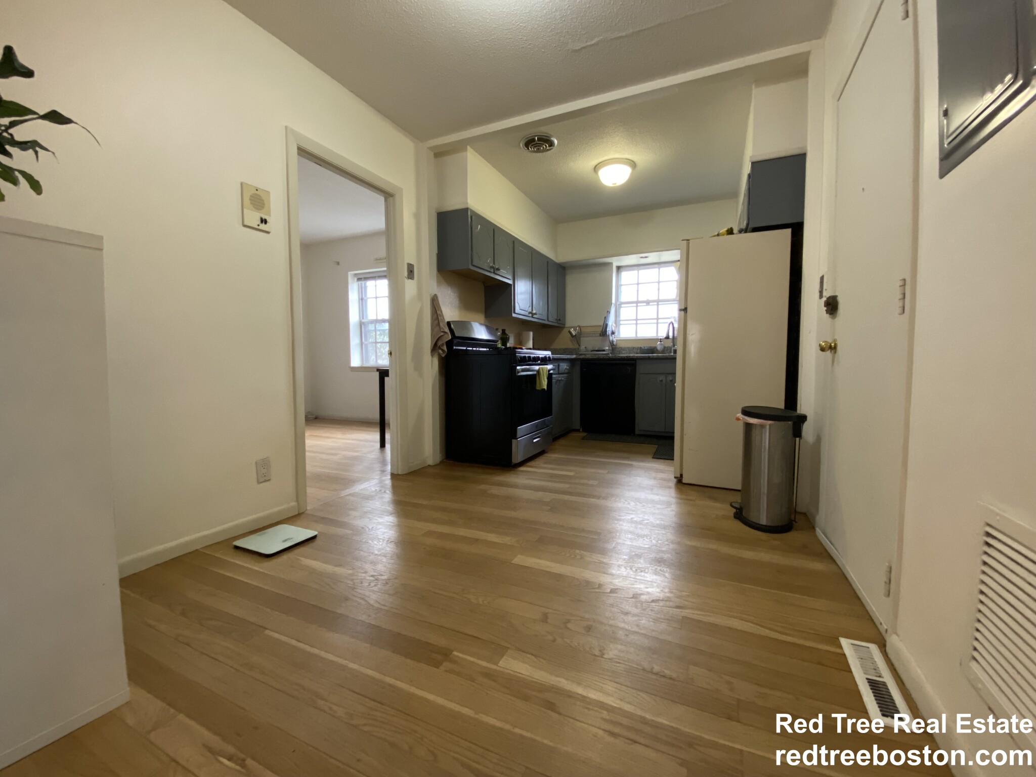 186 Lake Shore Rd, Brighton