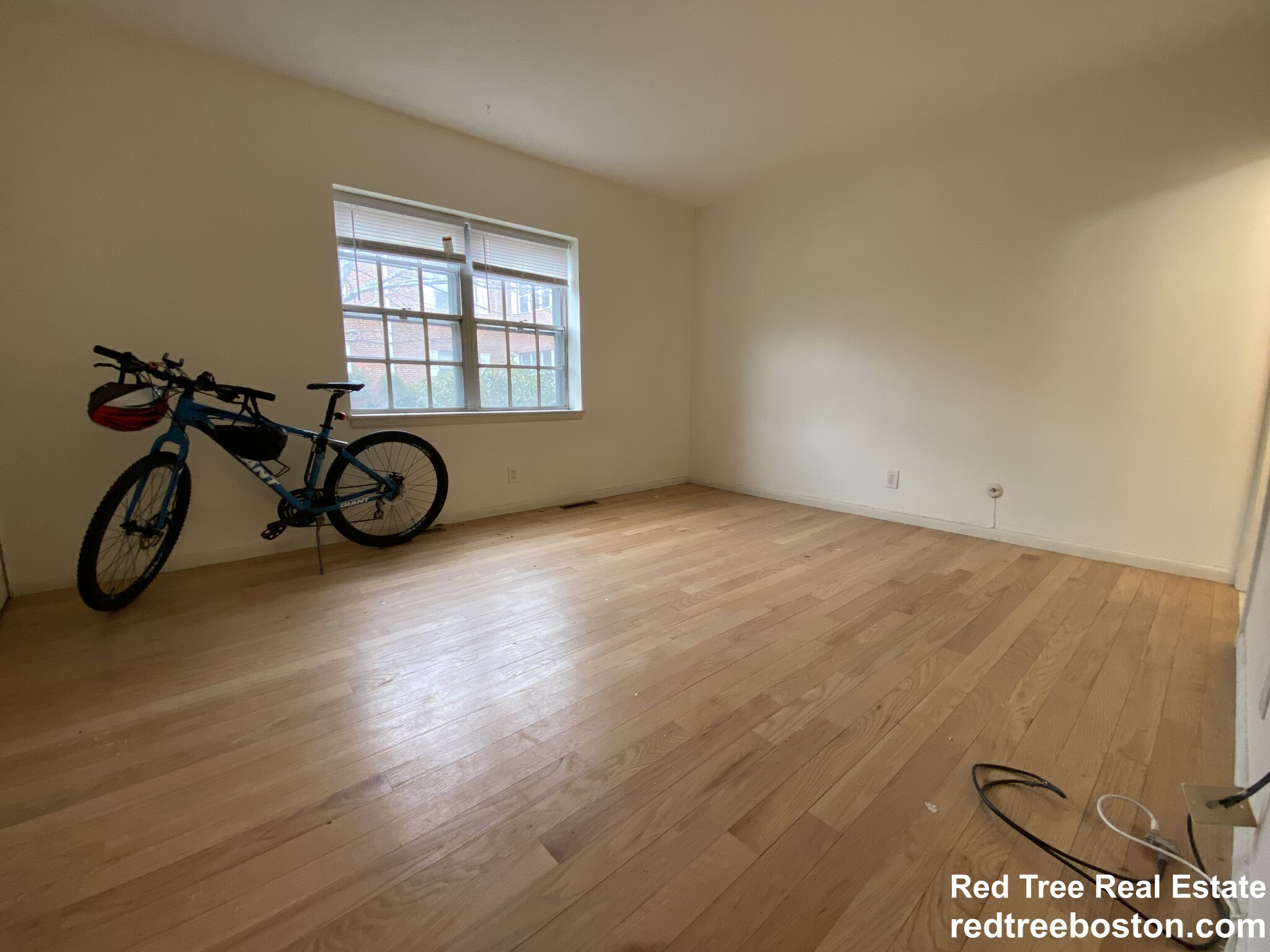 186 Lake Shore Rd, Brighton