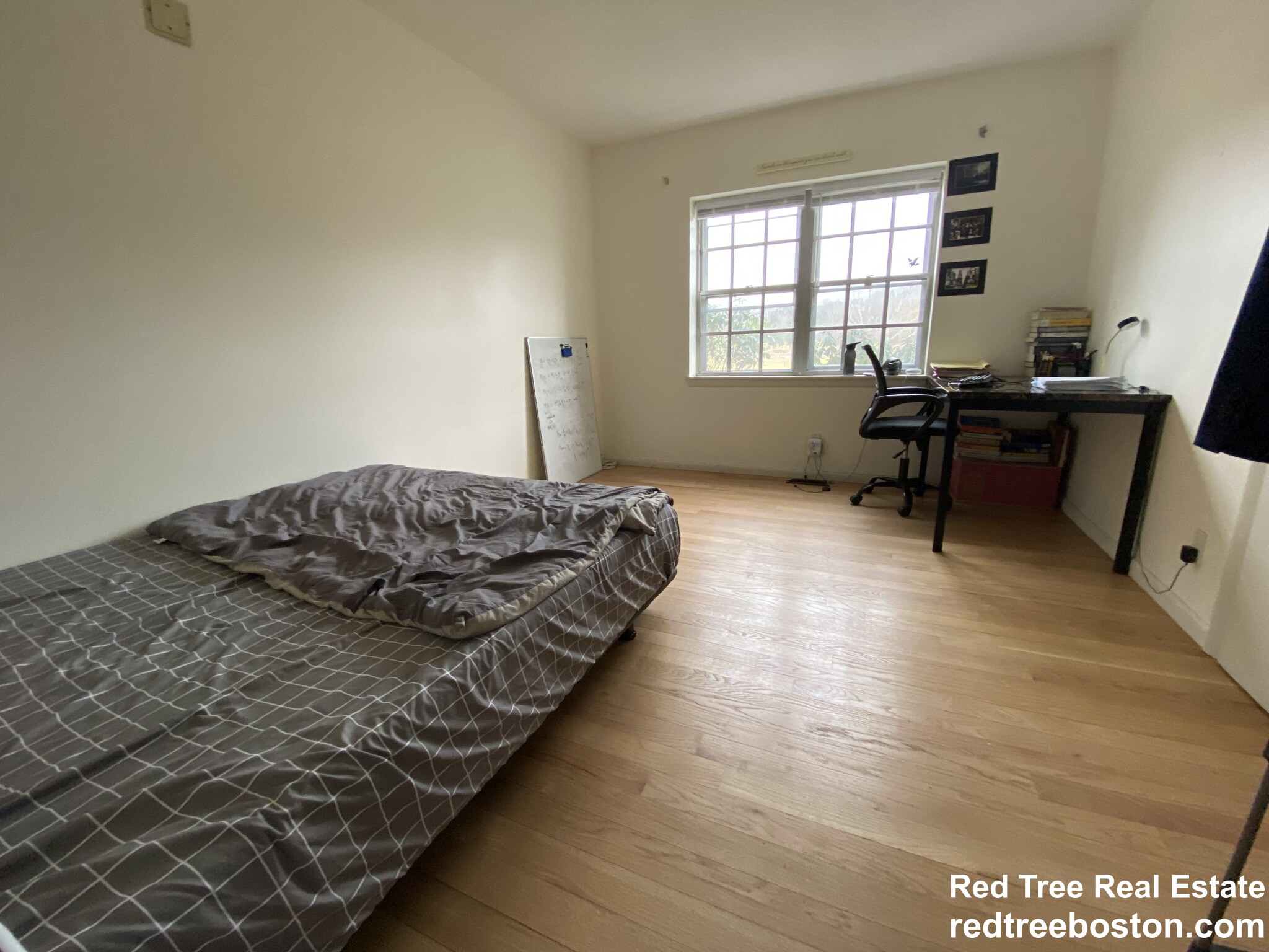 186 Lake Shore Rd, Brighton