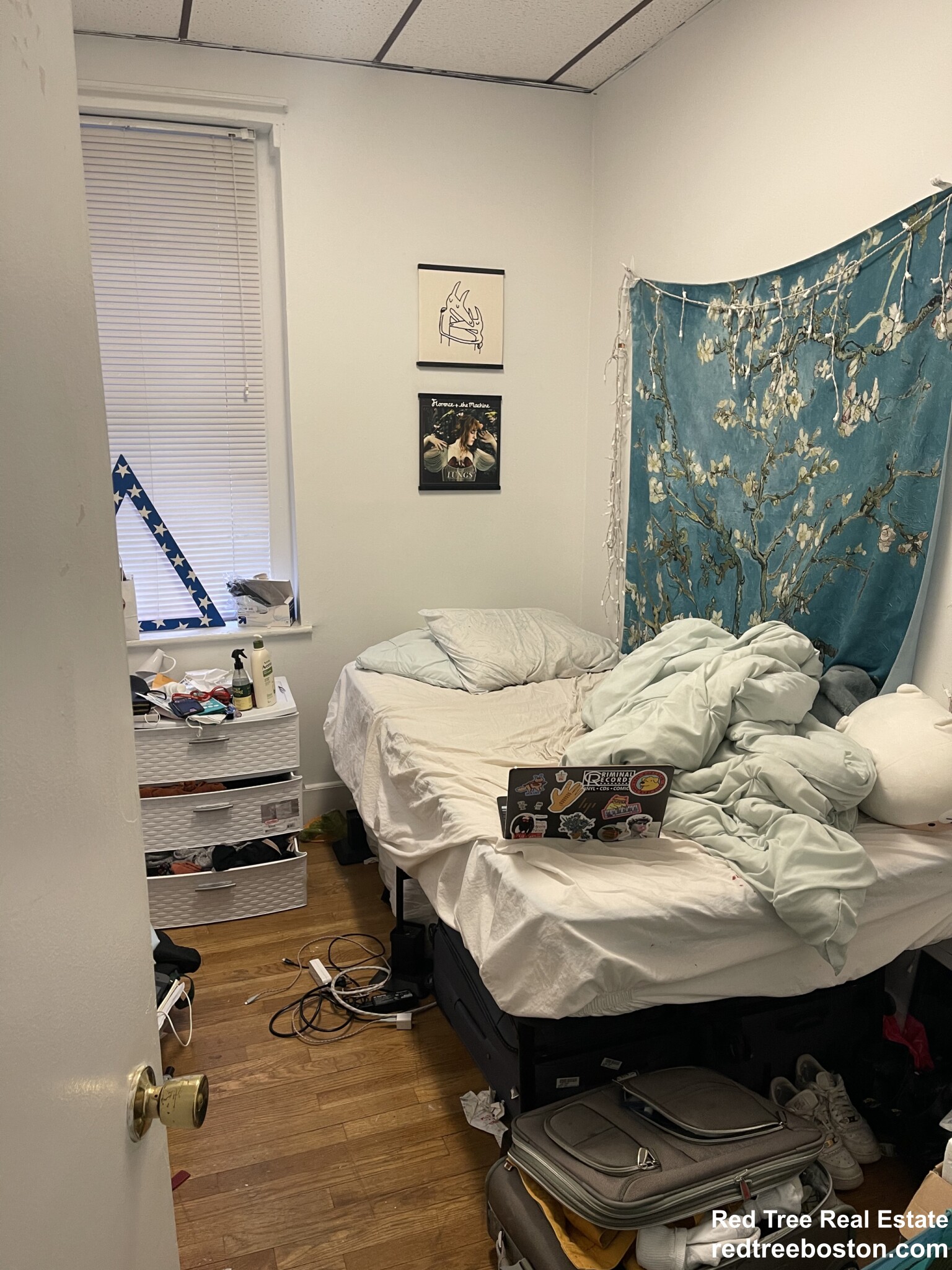 15 Aberdeen St, Fenway