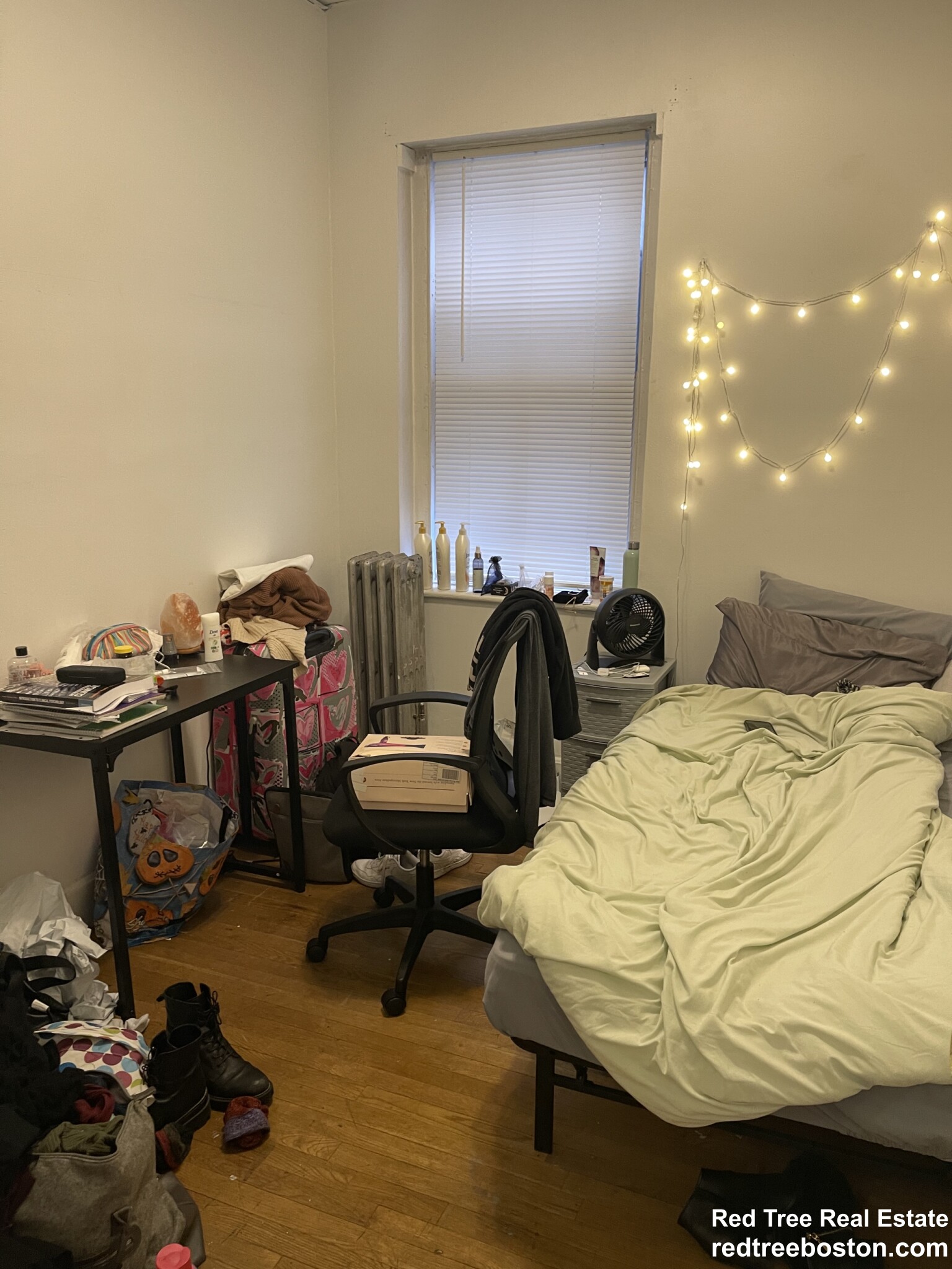 15 Aberdeen St, Fenway