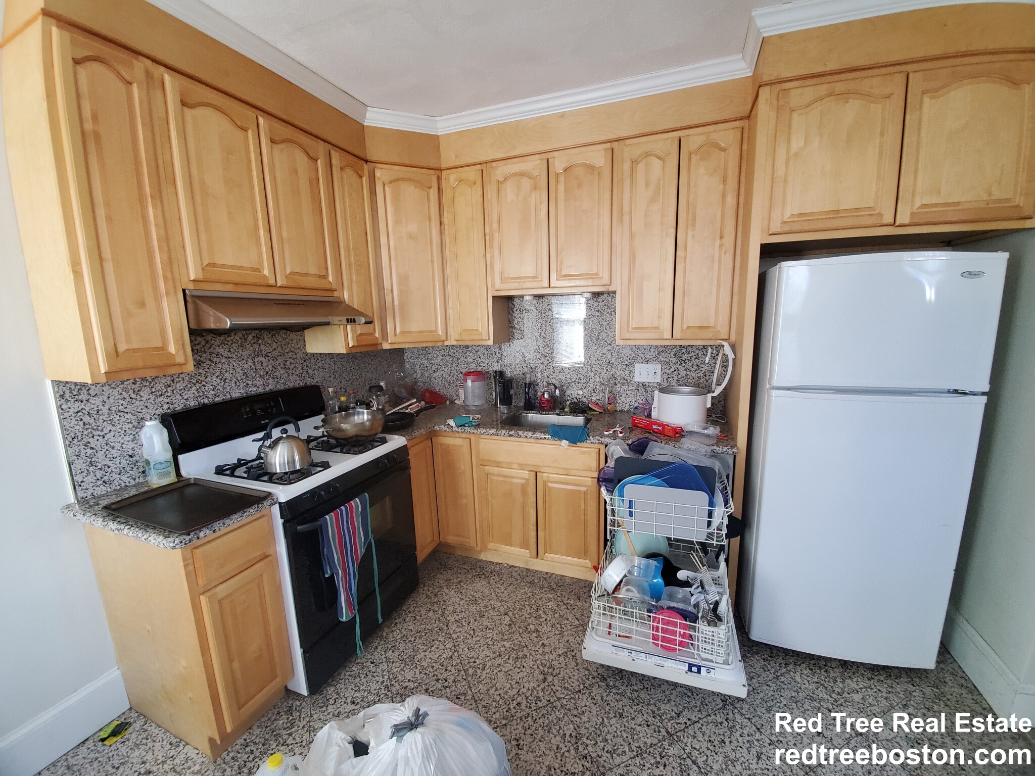 48 Atherton Rd, Brookline