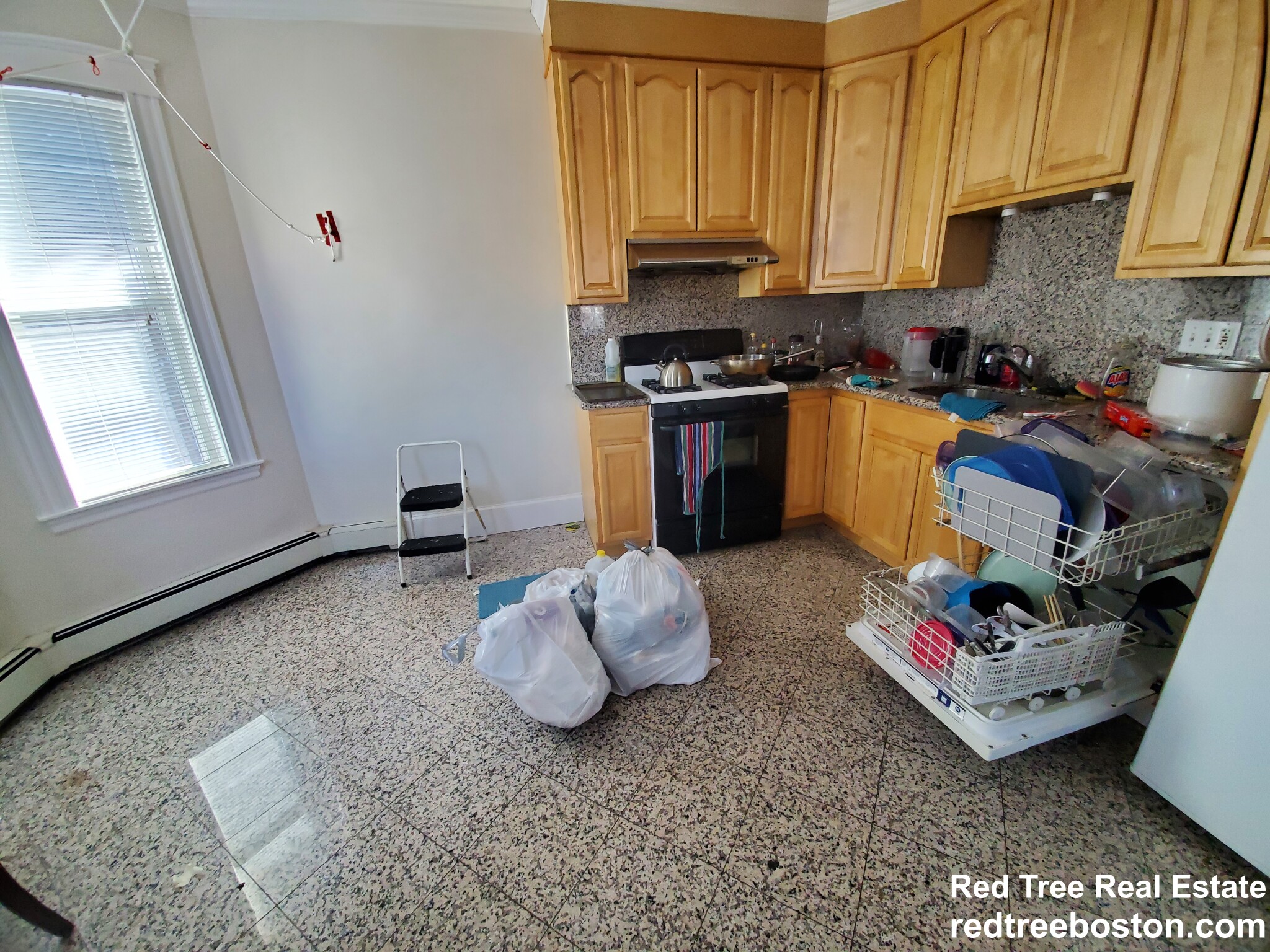 48 Atherton Rd, Brookline