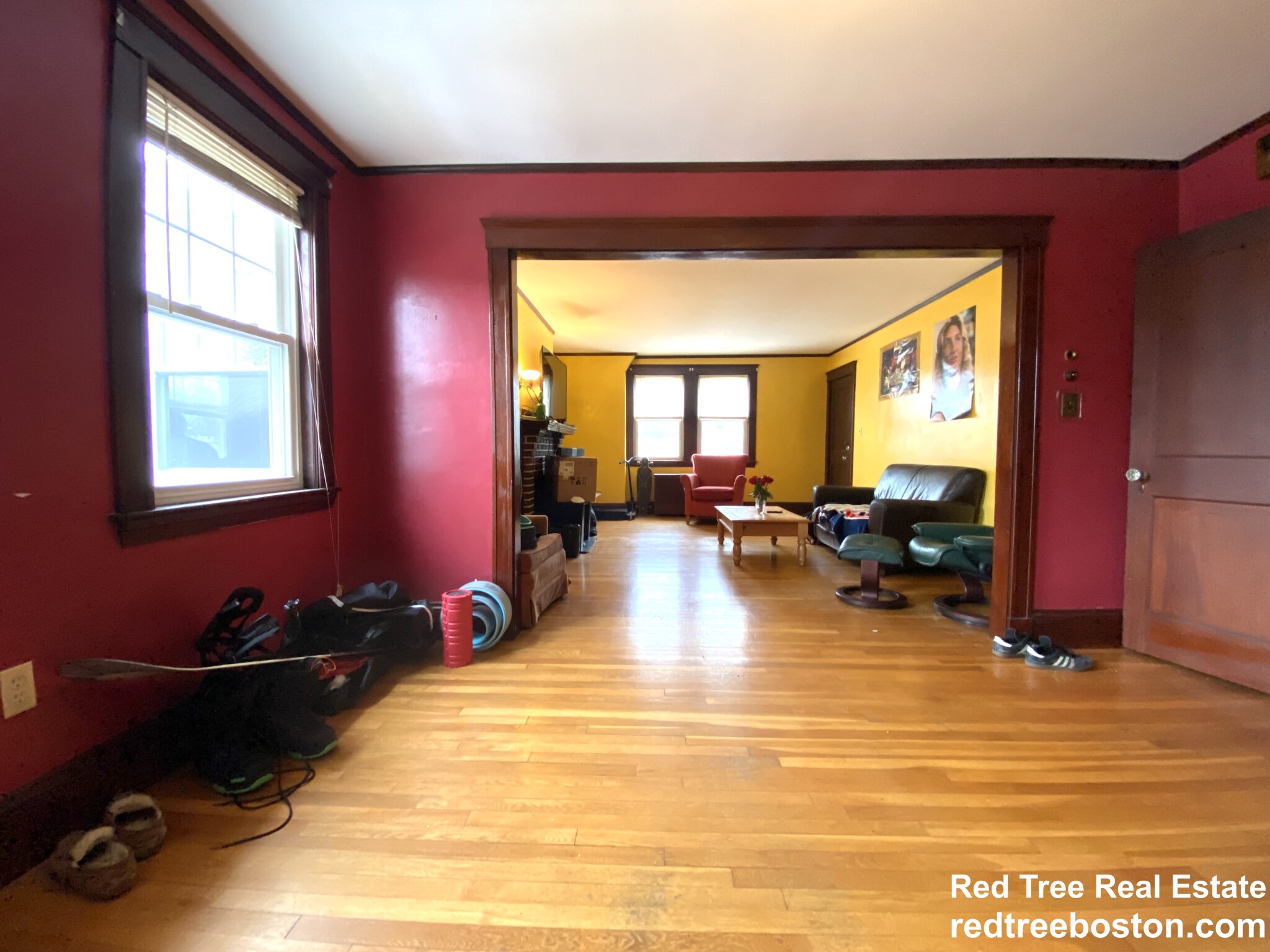 17 Cufflin St, Brighton