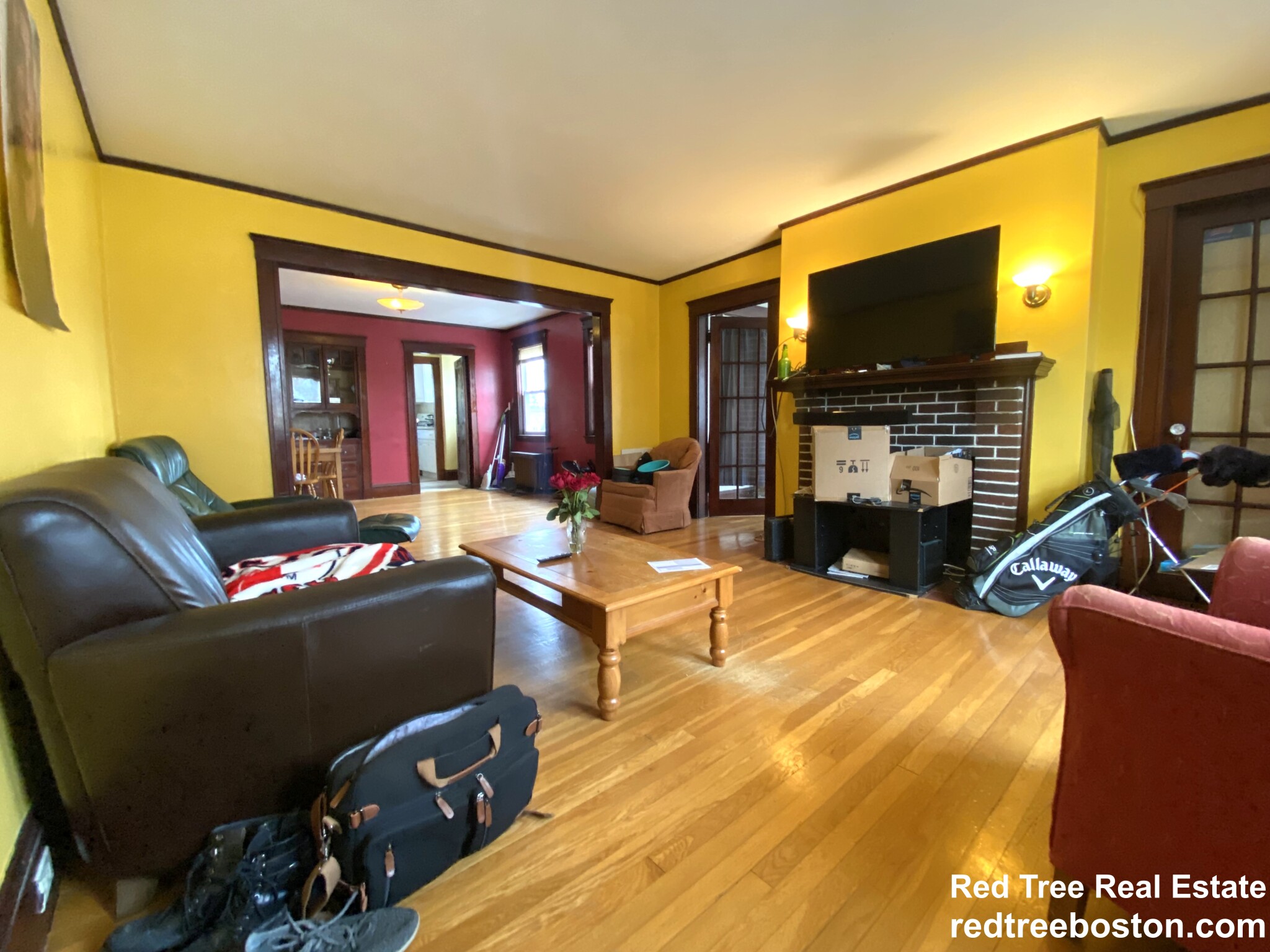 17 Cufflin St, Brighton