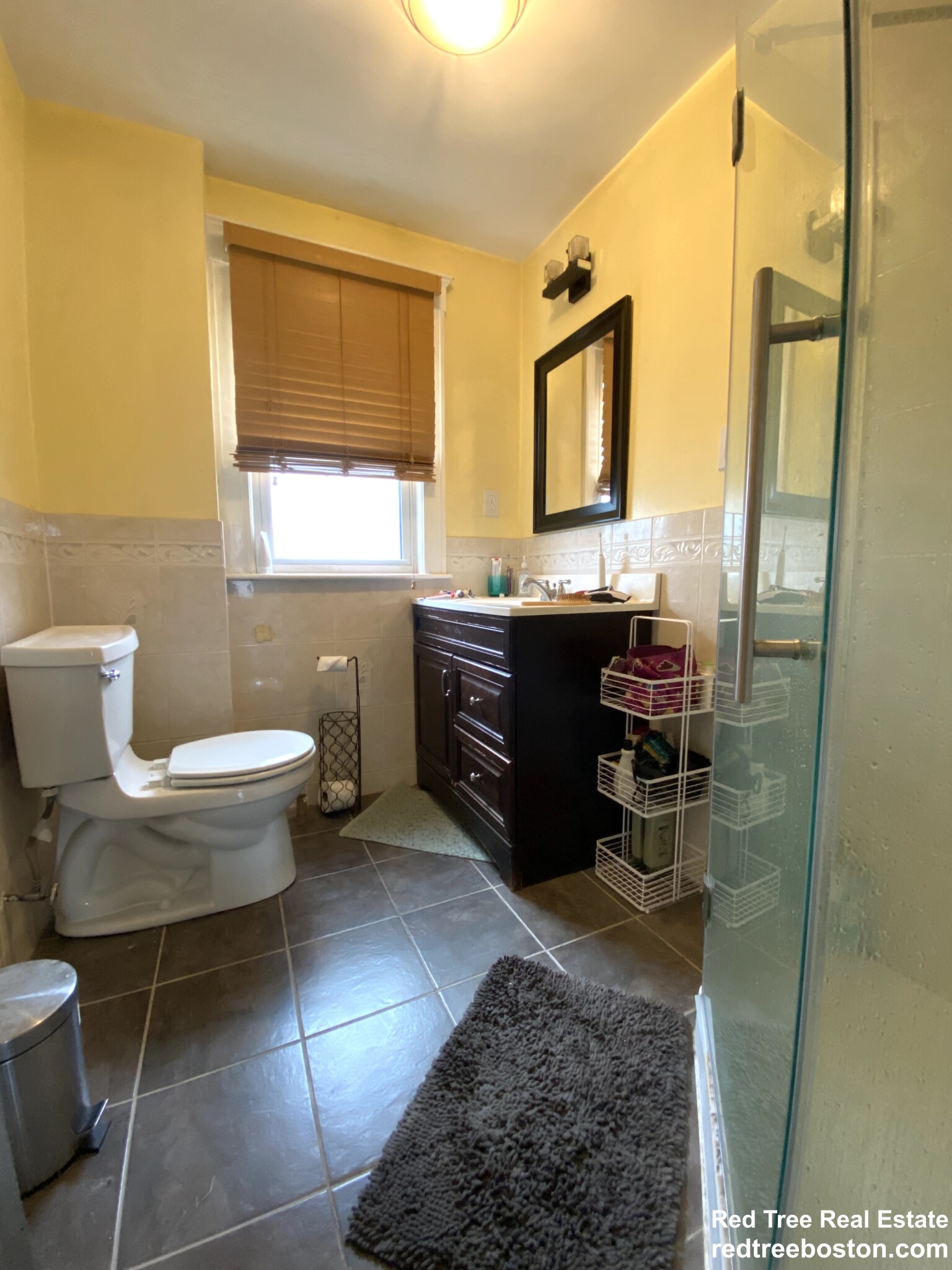 17 Cufflin St, Brighton