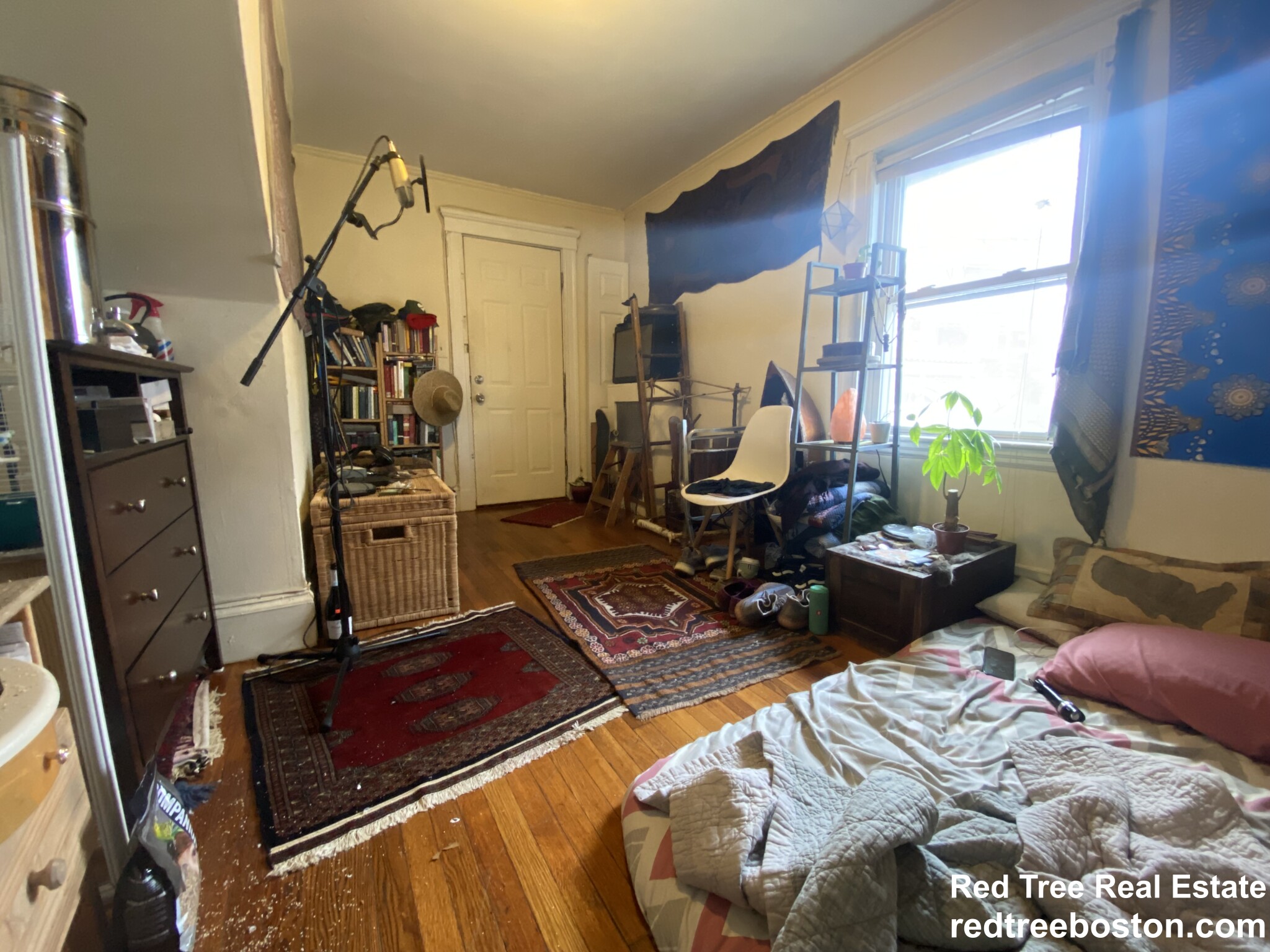 11 Kinross Rd, Brighton