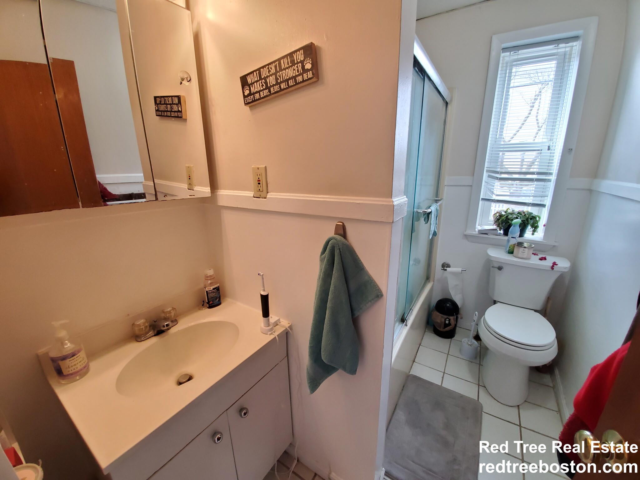 107 Brookline St, Cambridgeport