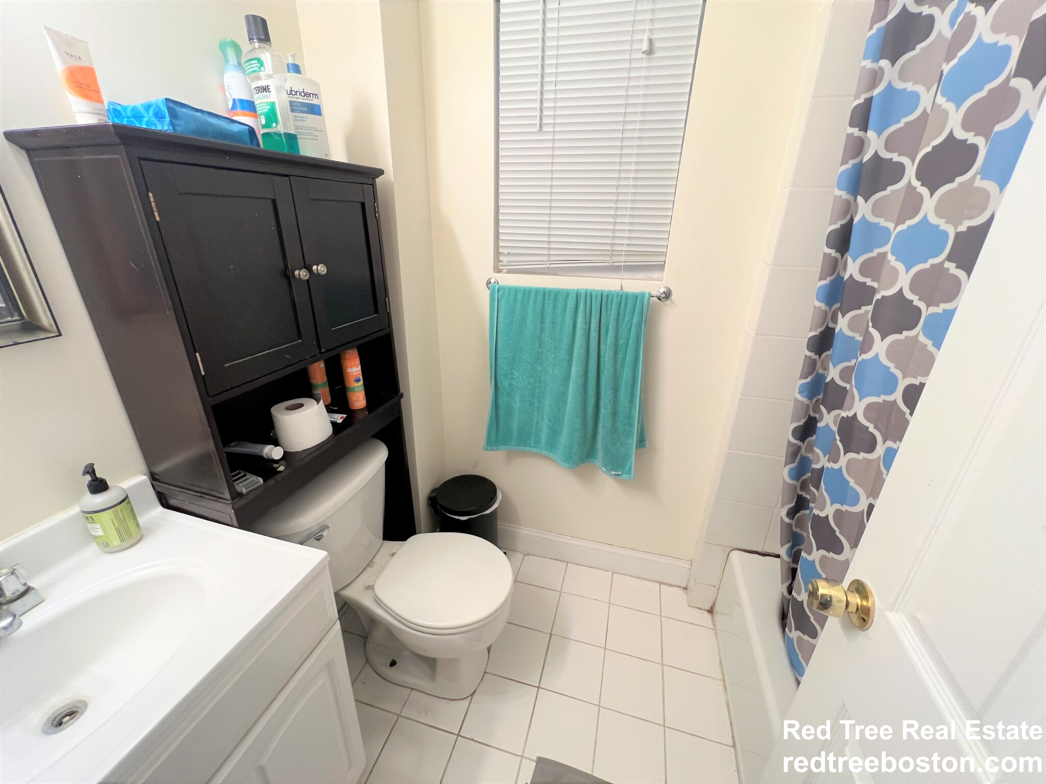 17 Sheridan St, Jamaica Plain