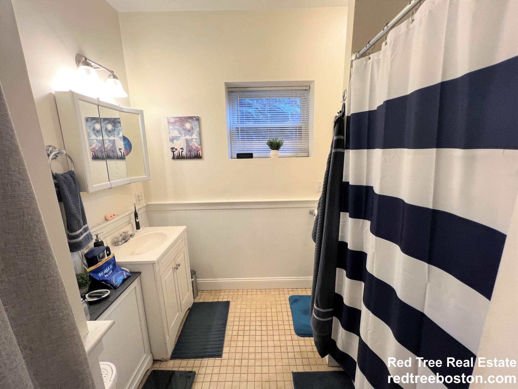 17 Sheridan St, Jamaica Plain