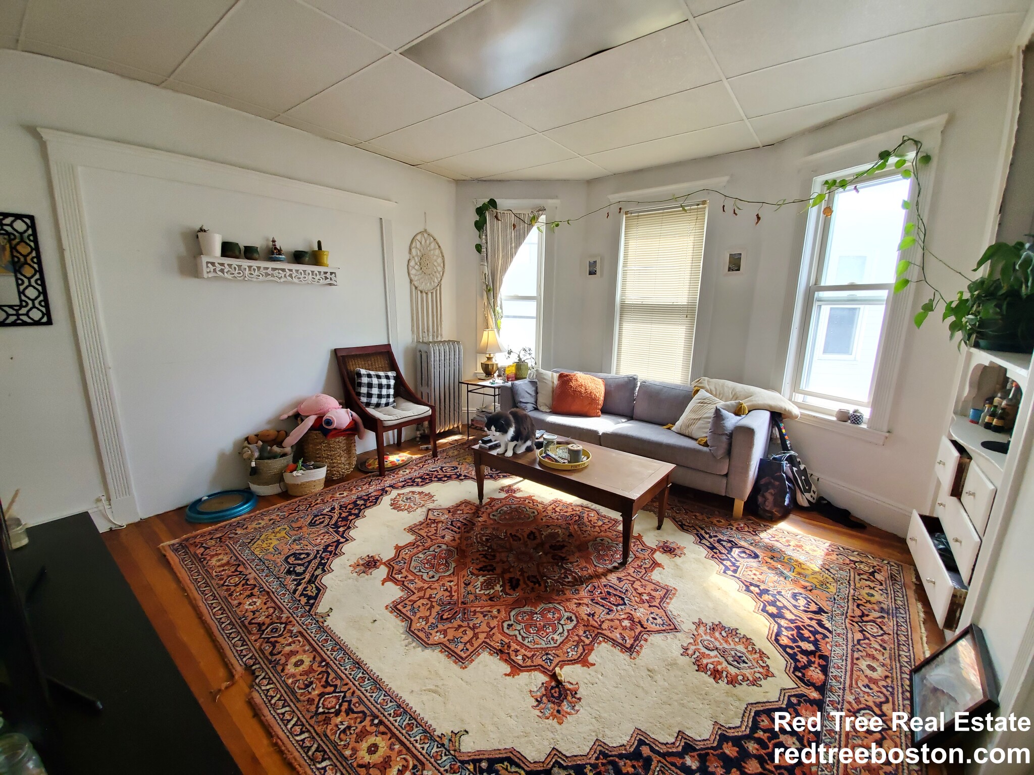 290 Summit Ave, Brighton