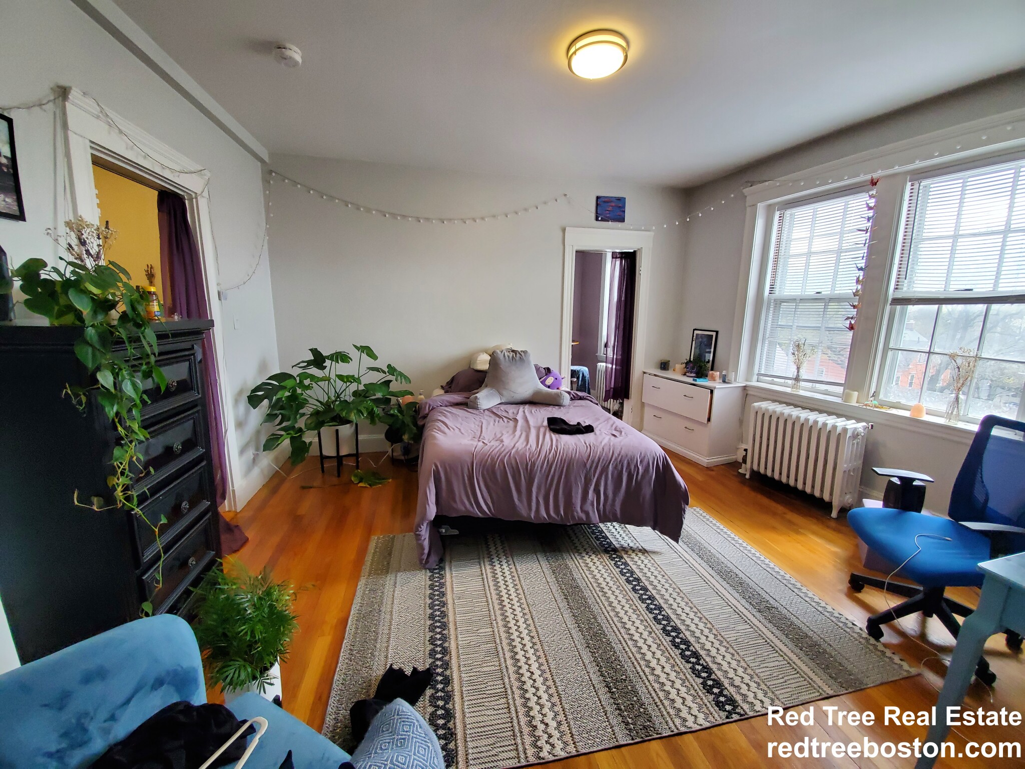 4 Washington Ave, Harvard Square