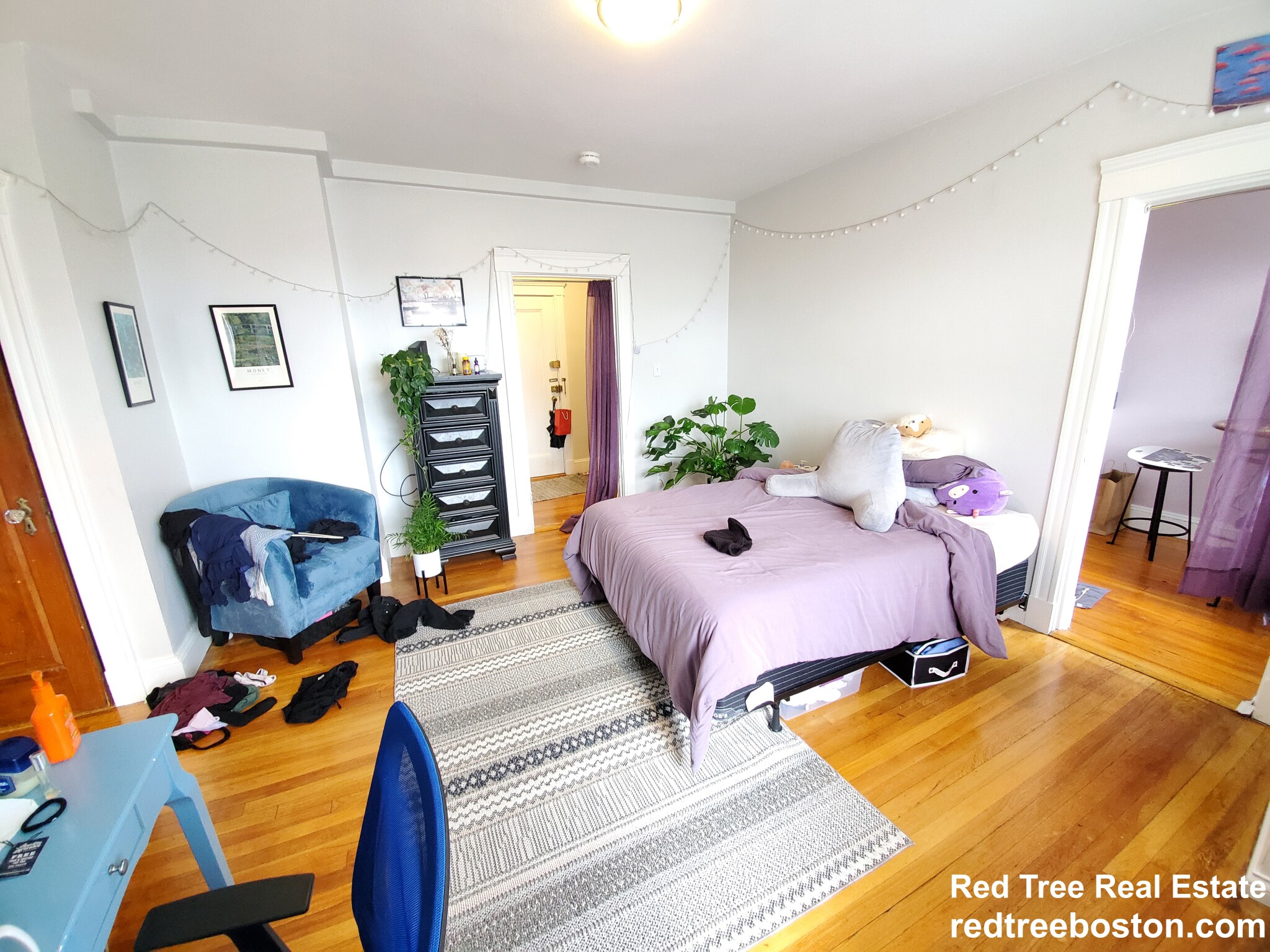 4 Washington Ave, Harvard Square