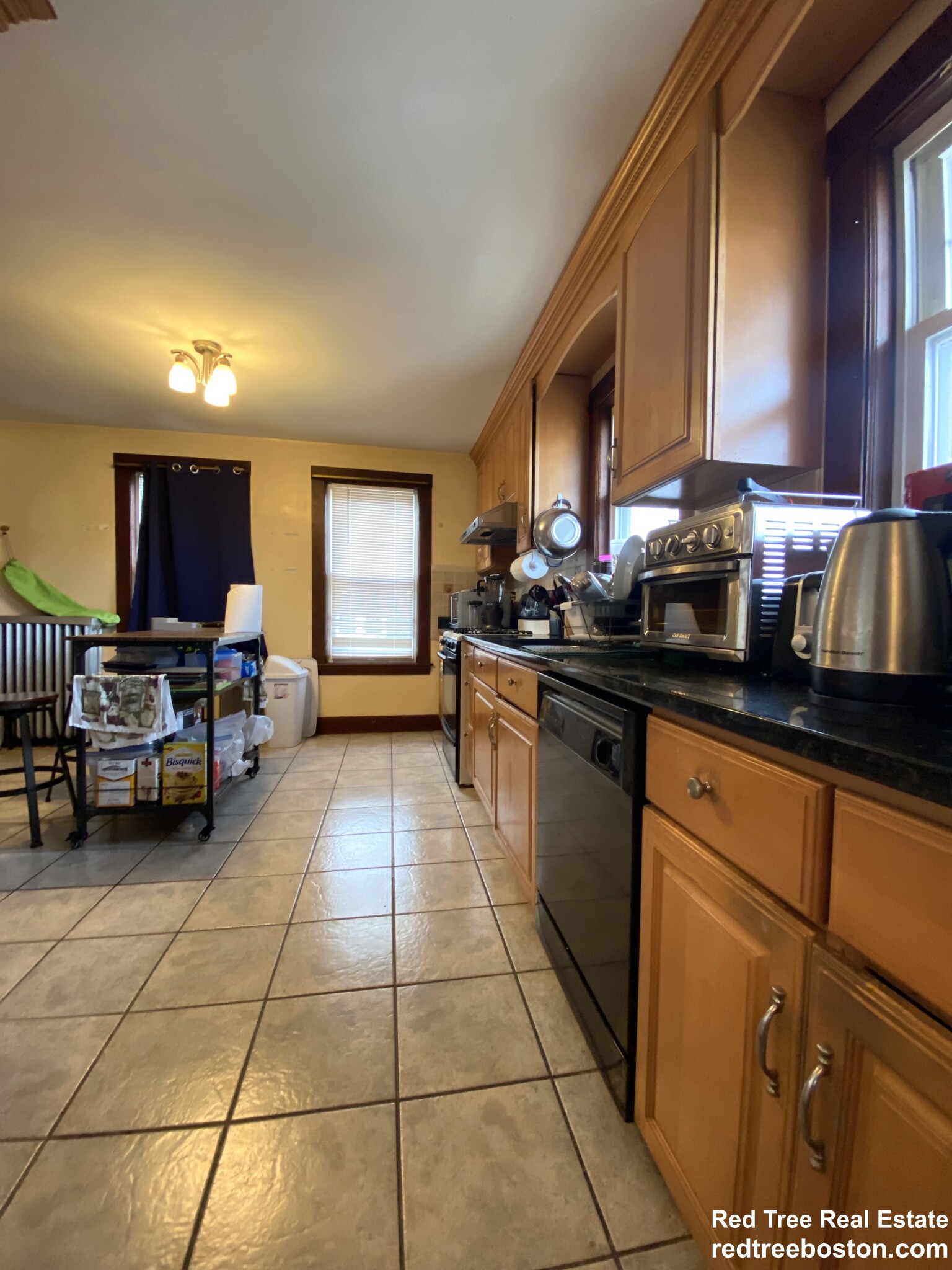 17 Cufflin, Brighton