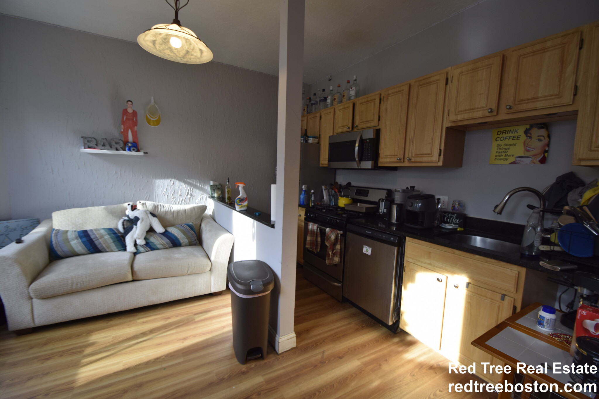 93 Hillside St, Mission Hill