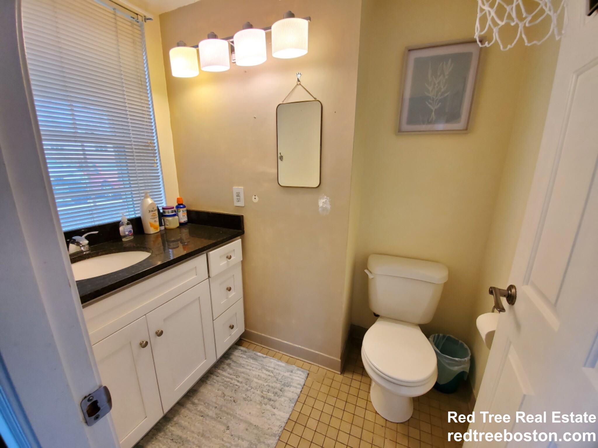 20 Daniels St, Malden