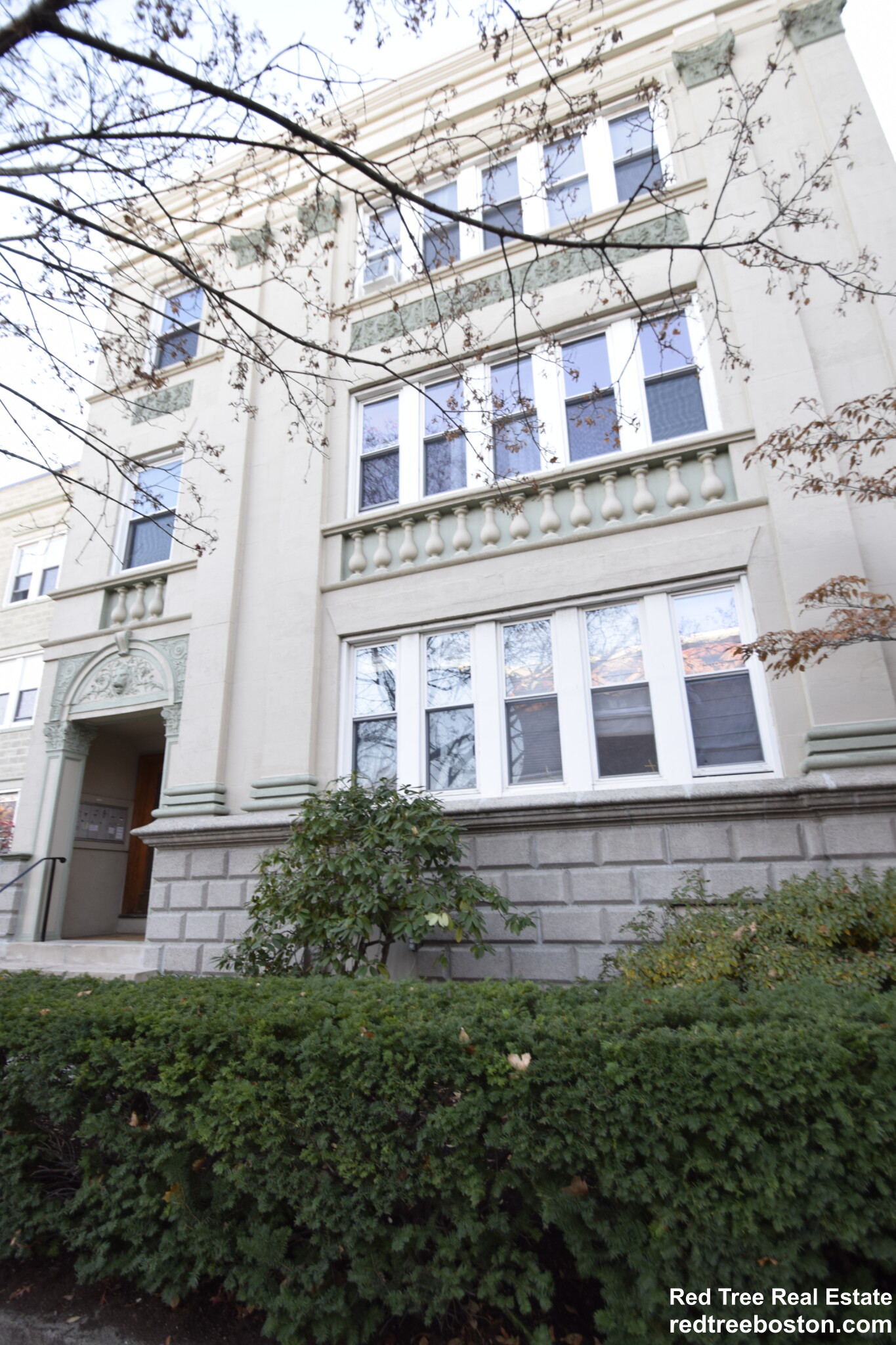 54 Egmont St, North Brookline