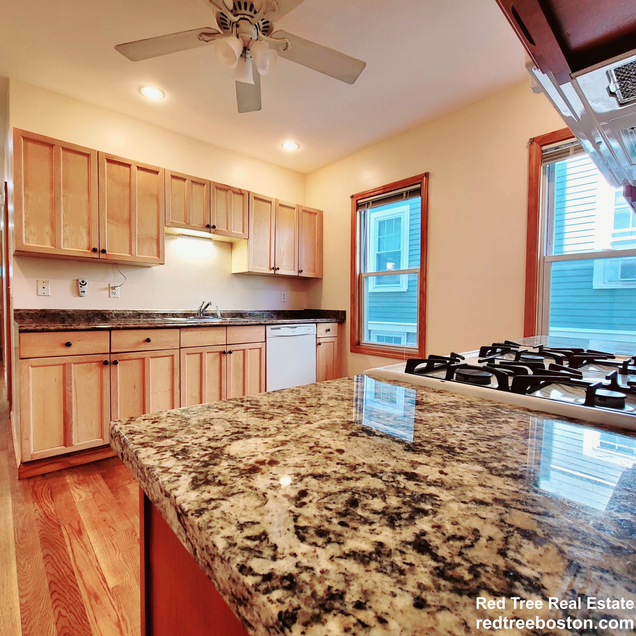 28-30 Spaulding St, Dorchester