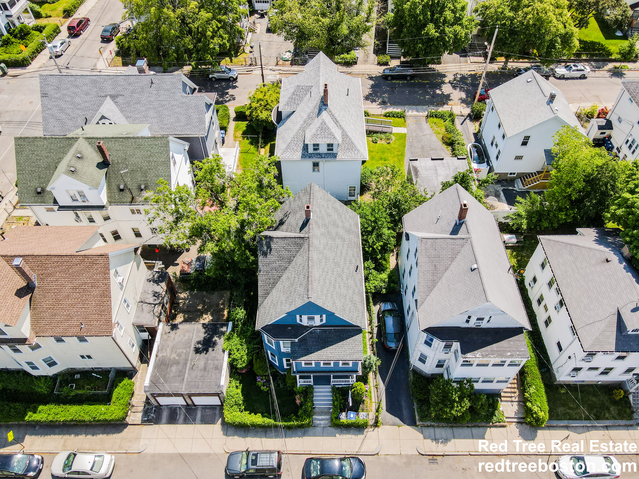 62 Montcalm Ave, Brighton