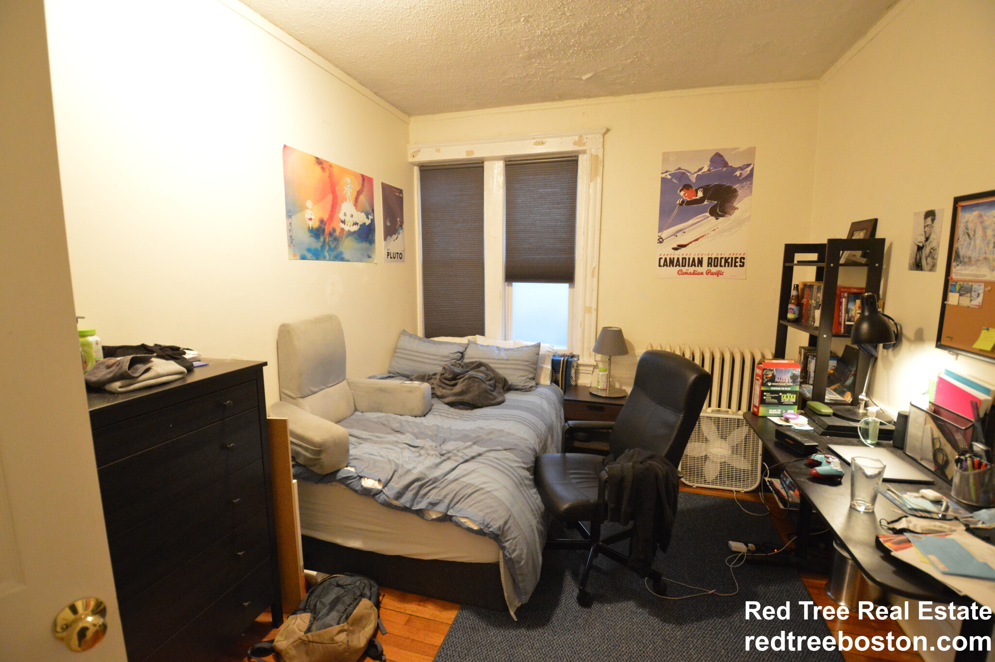 60 Egmont St, North Brookline