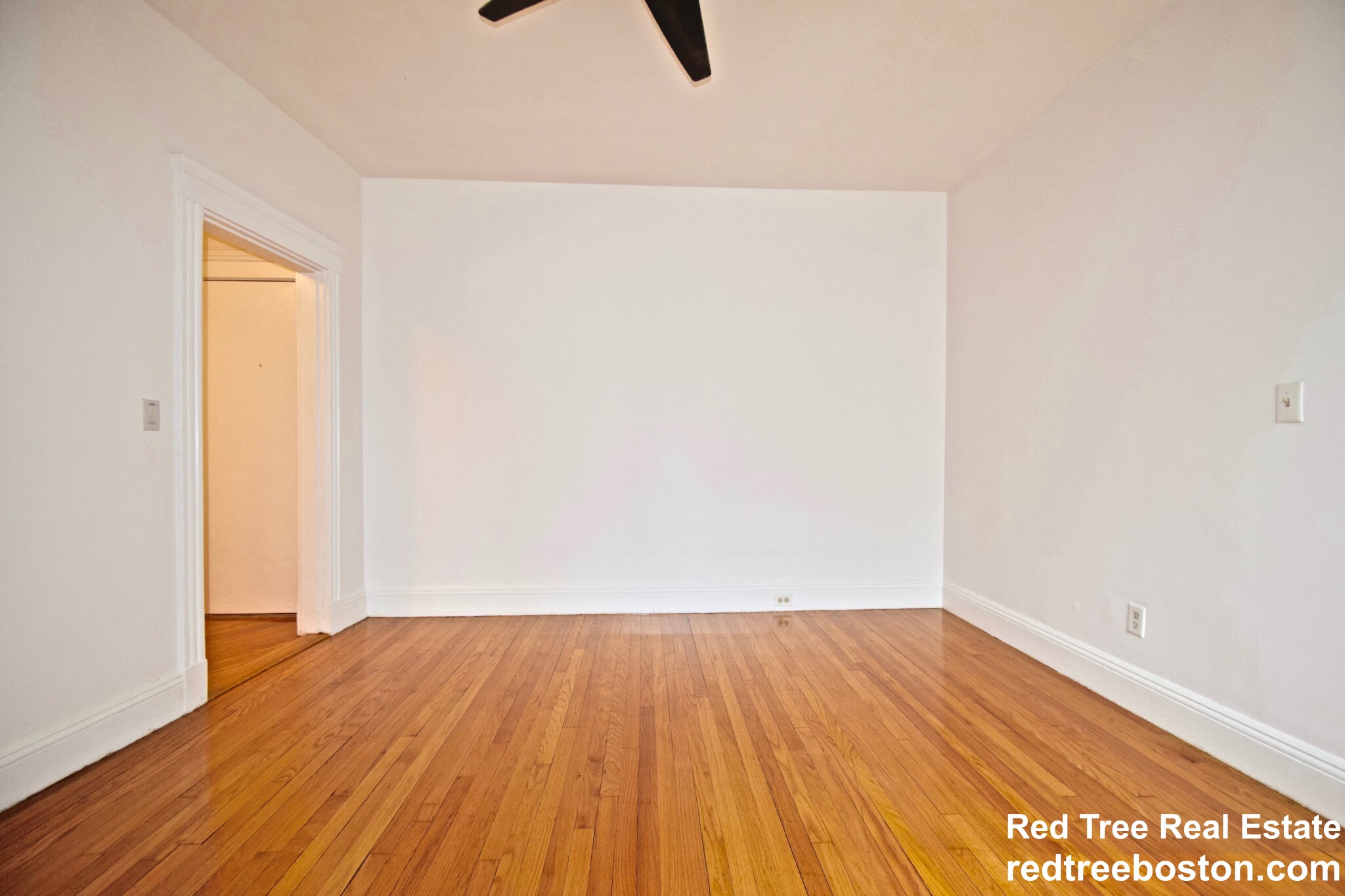 374 Chestnut Hill Ave, Brighton