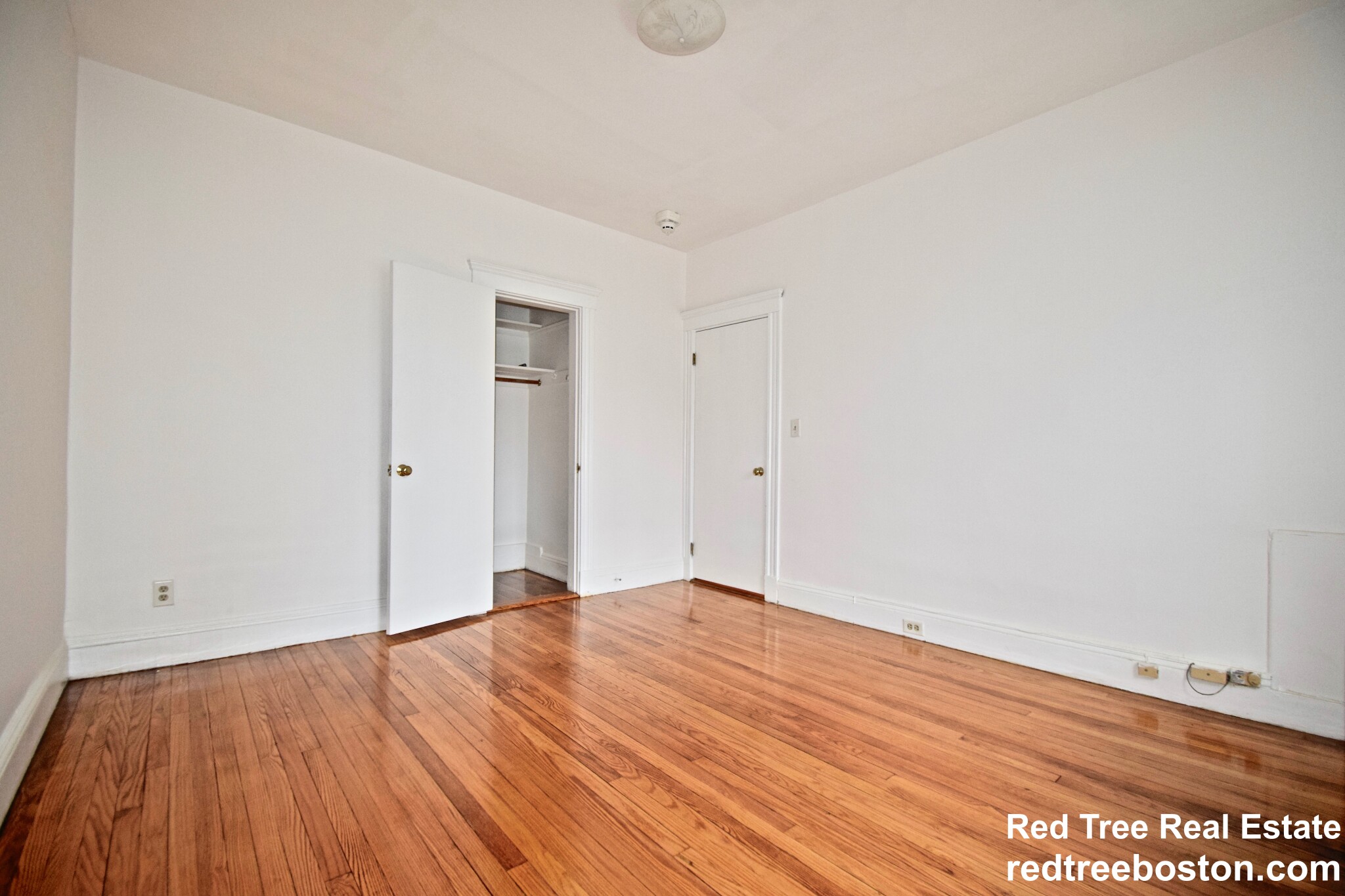 374 Chestnut Hill Ave, Brighton