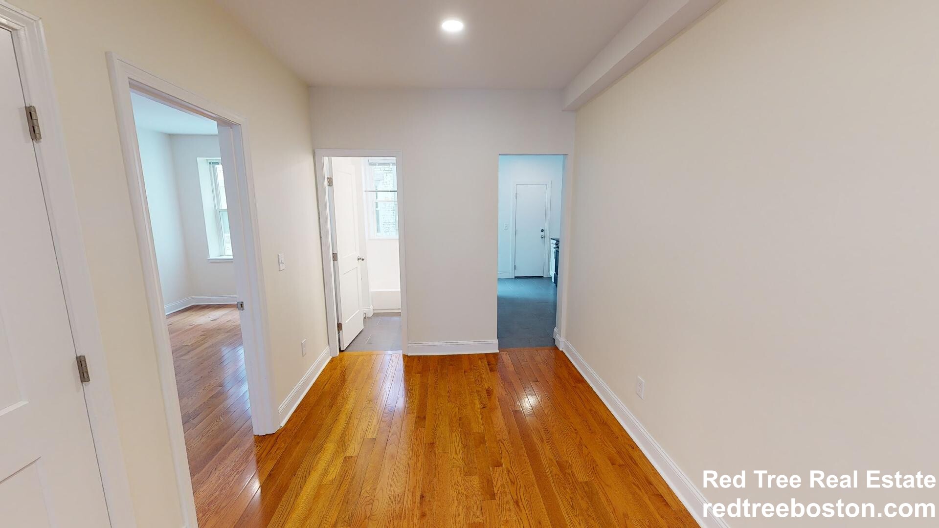 123 Sutherland Rd, Brighton