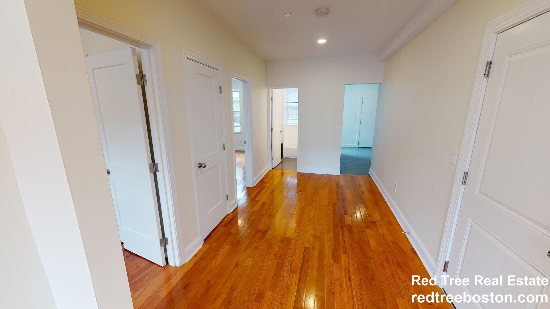 123 Sutherland Rd, Brighton