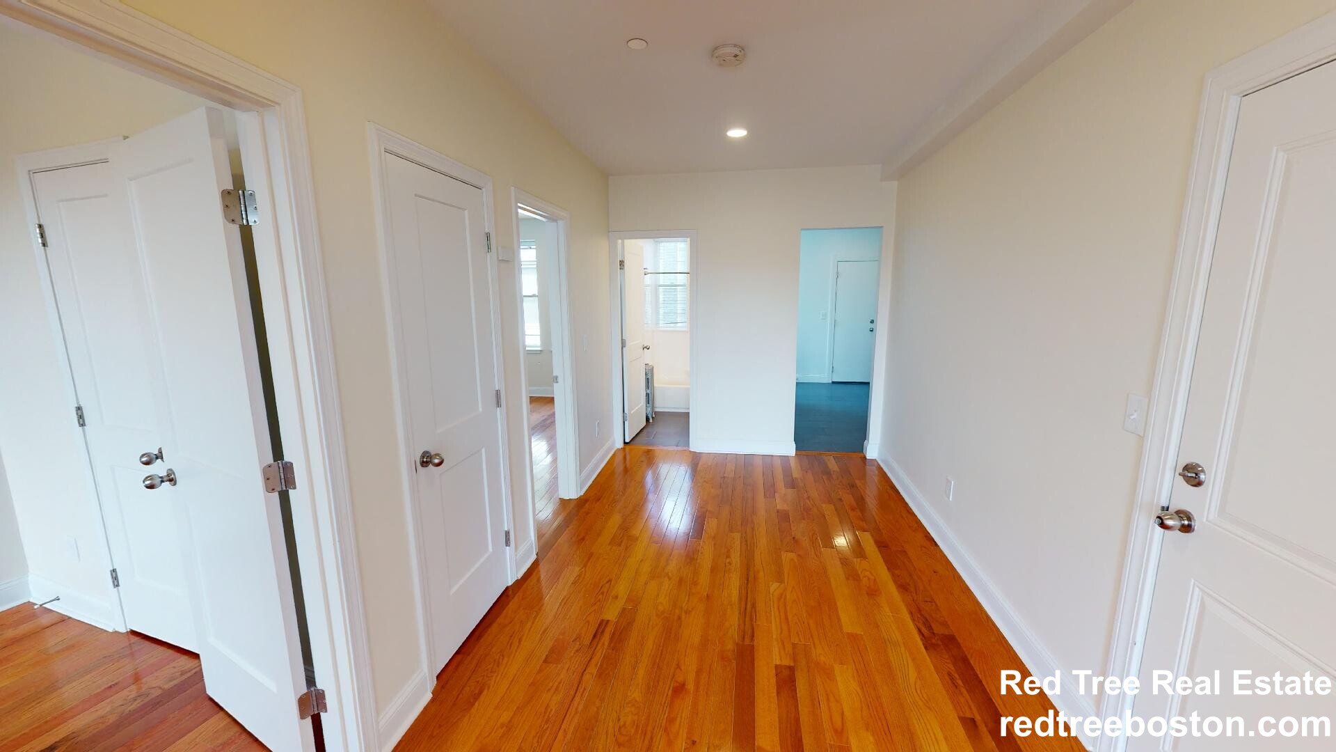 123 Sutherland Rd, Brighton