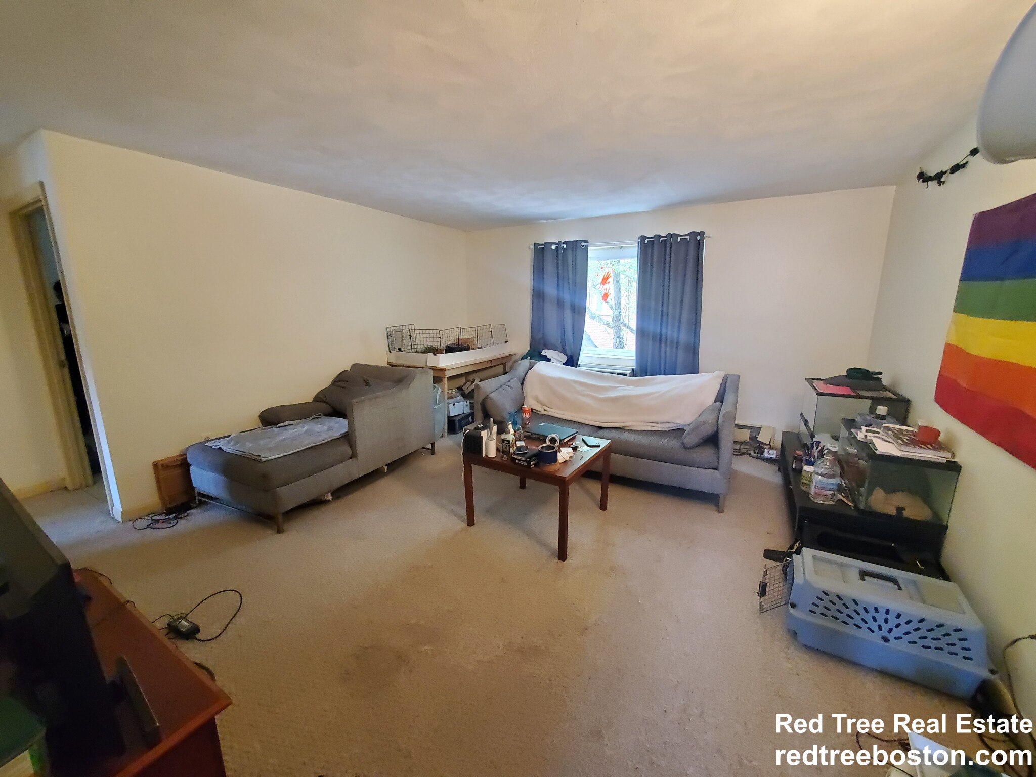 66 Bryon Rd, Chestnut Hill