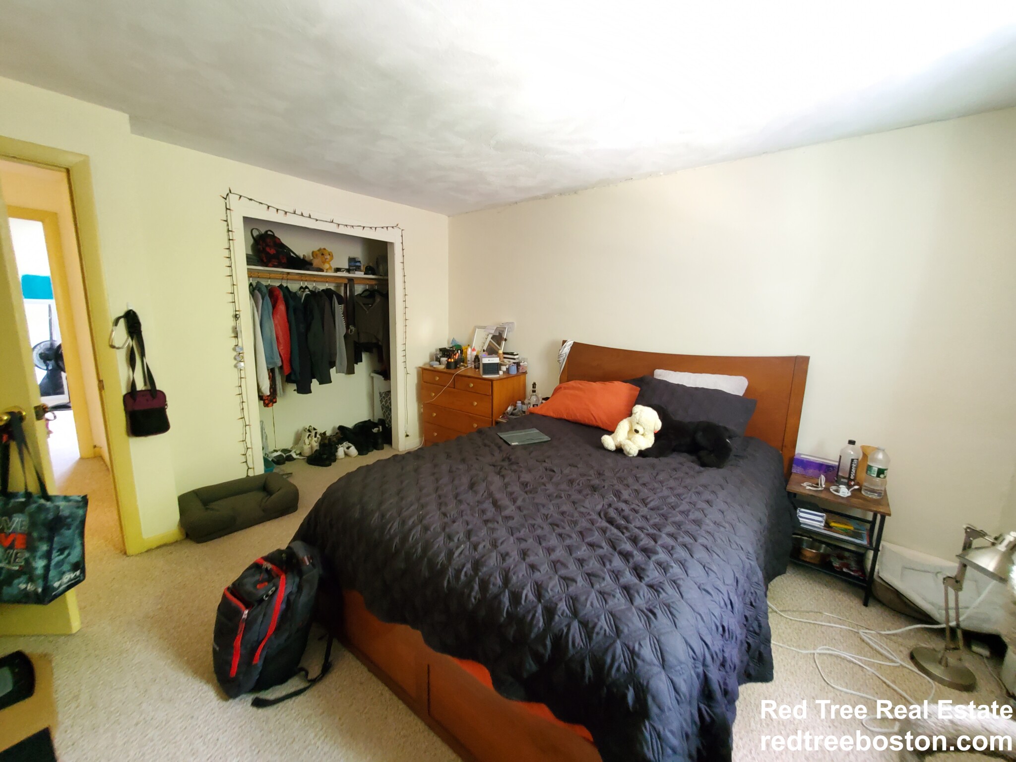 66 Bryon Rd, Chestnut Hill