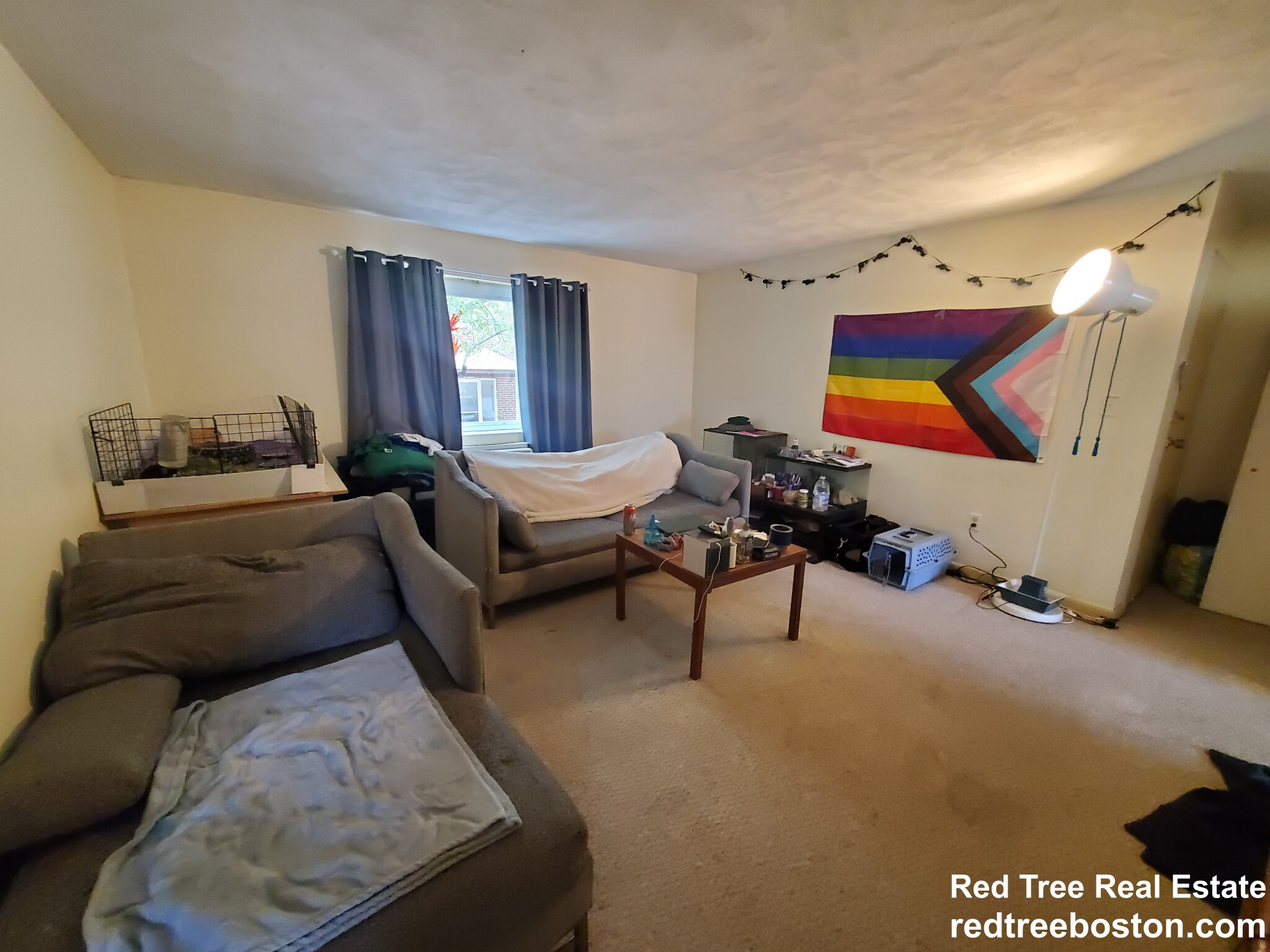 66 Bryon Rd, Chestnut Hill