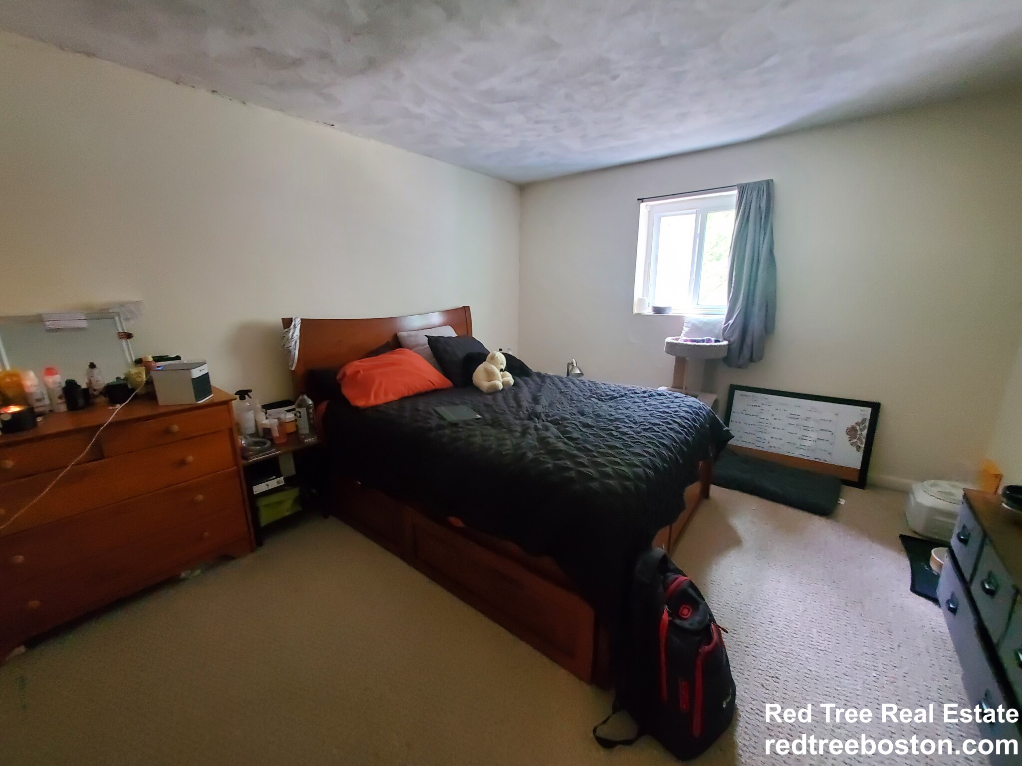 66 Bryon Rd, Chestnut Hill