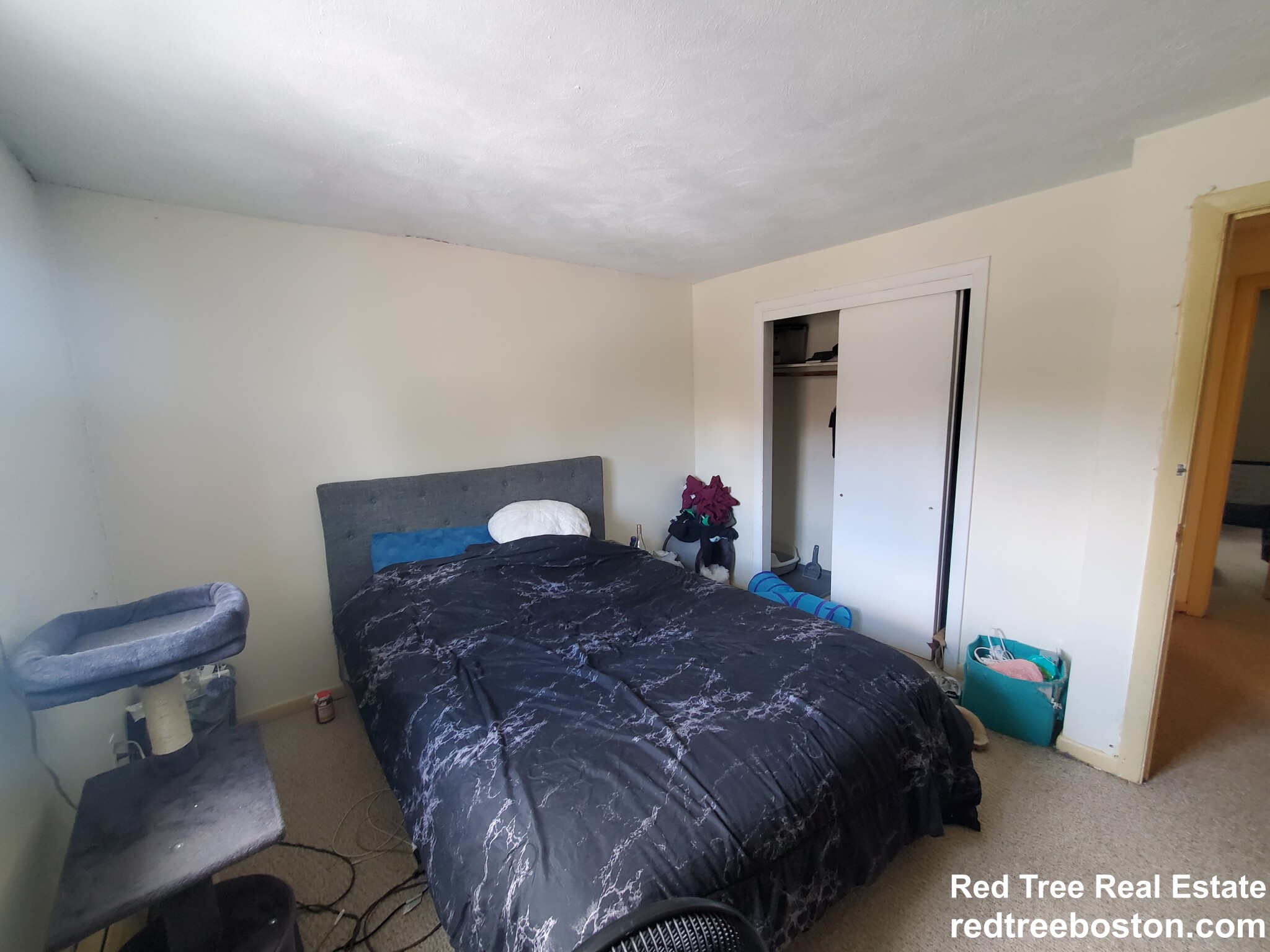 66 Bryon Rd, Chestnut Hill