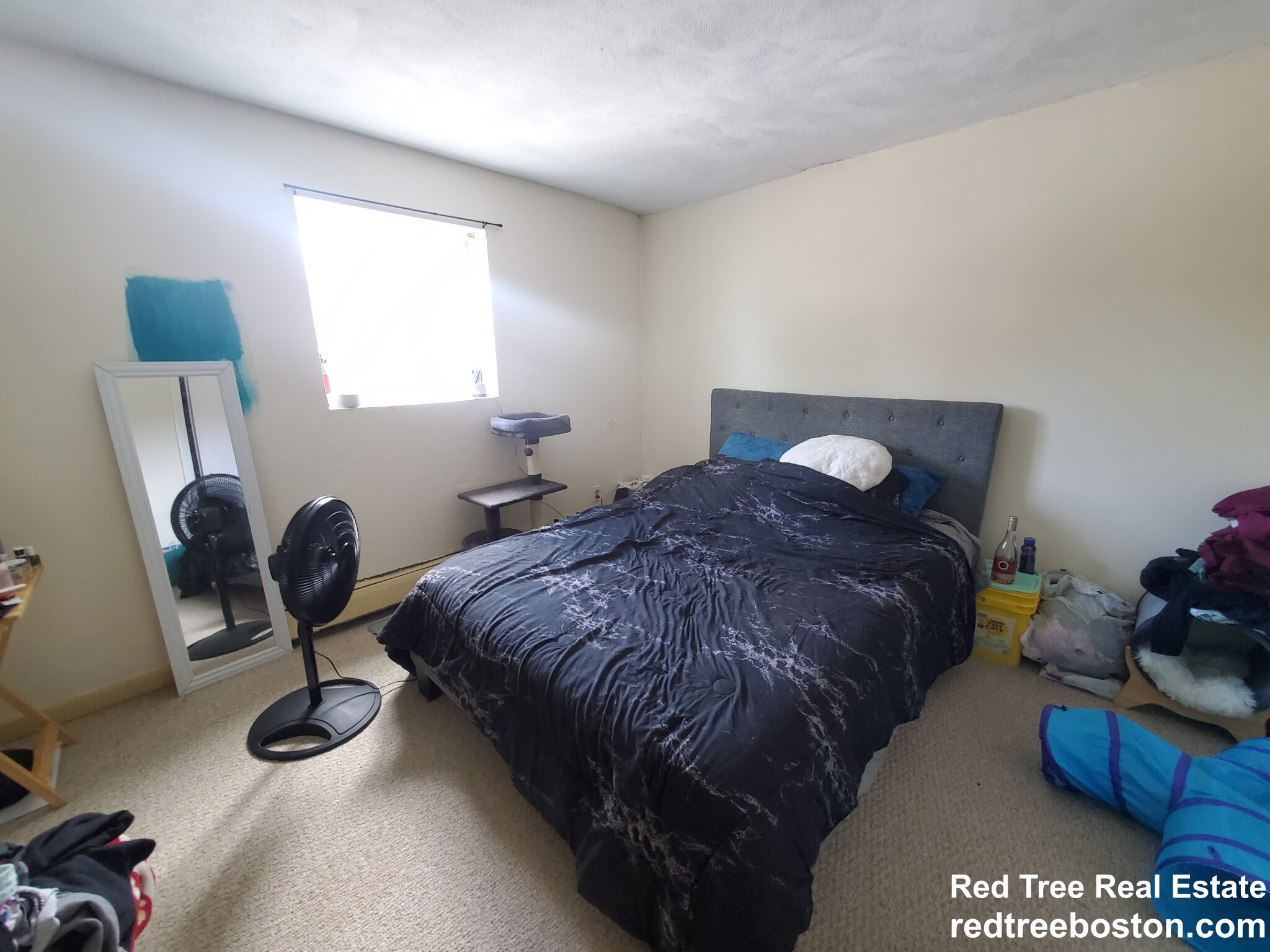 66 Bryon Rd, Chestnut Hill