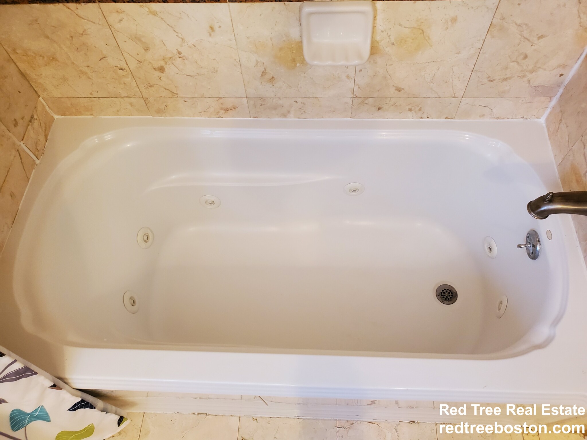 8 White Ave, West End