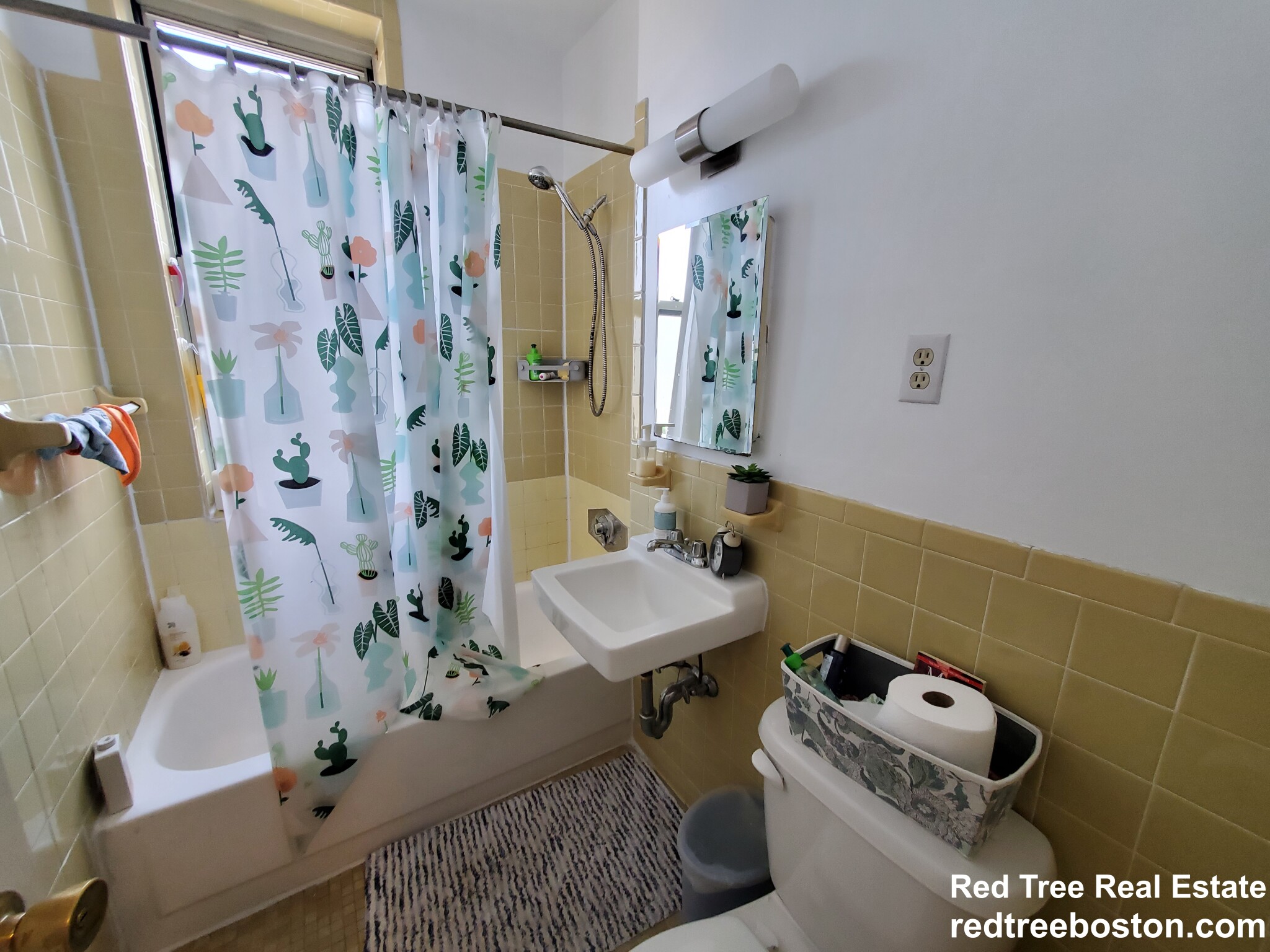 20 Colborne Rd, Brighton