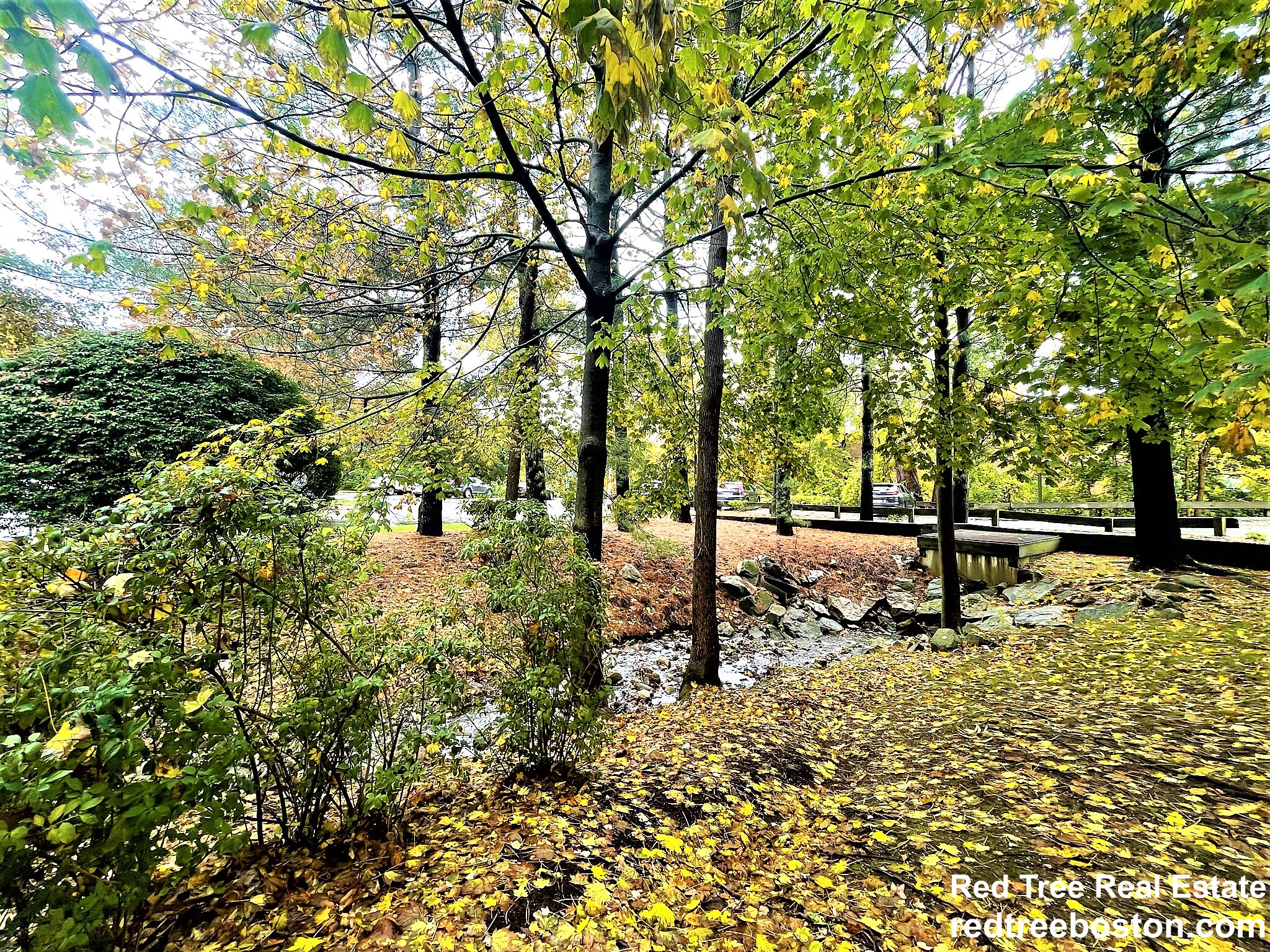 100 Rosemary Way, Needham